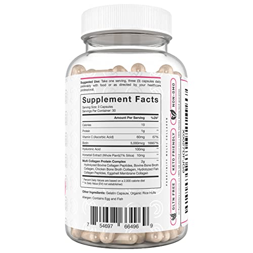 PUREFINITY Collagen Peptides for Women β Multi-Type I/II/III/V/X with Biotin & Hyaluronic Acid | 90 Capsules