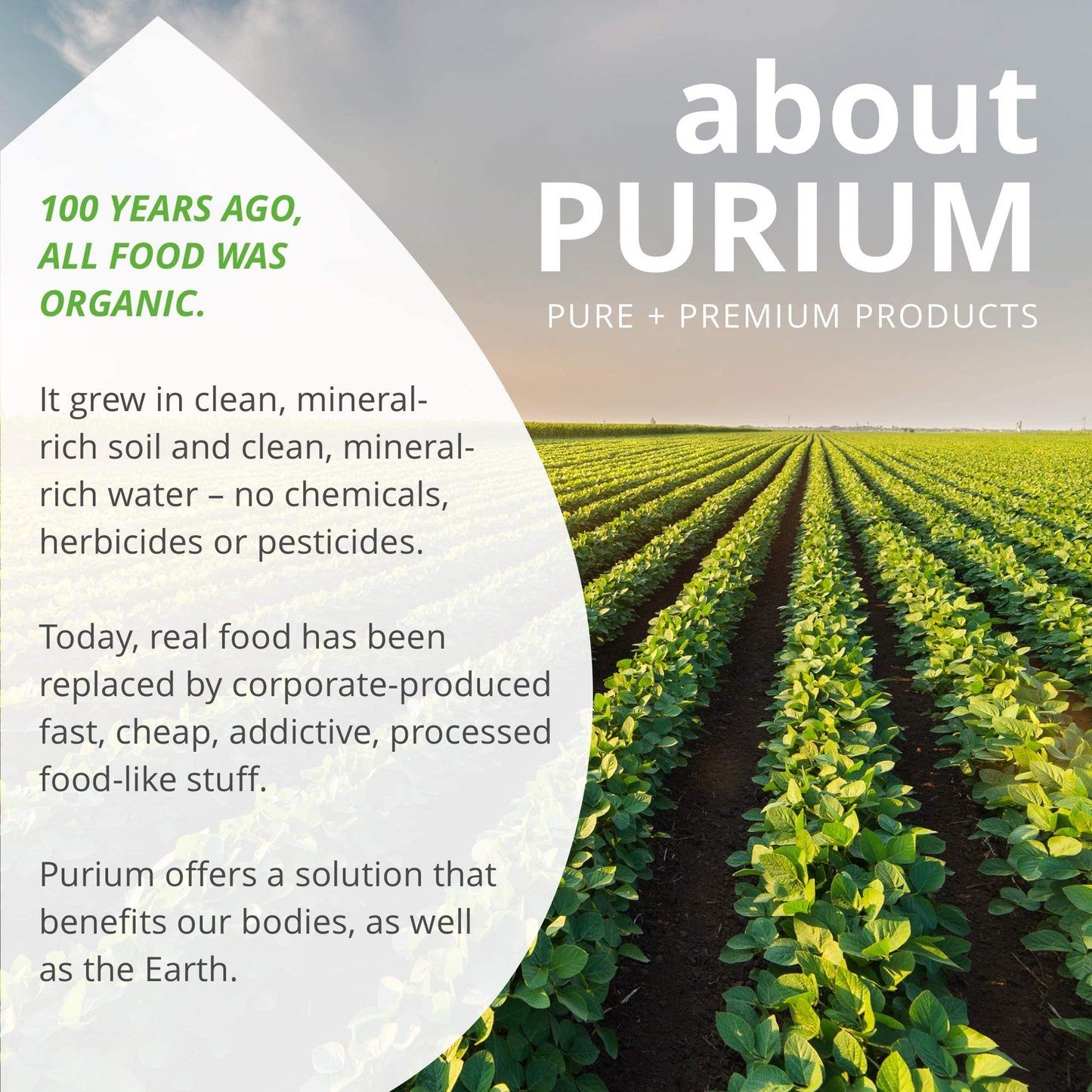 Purium Biome Medic โ 60 Vegan Capsules | Gut Health, Detox & Probiotics