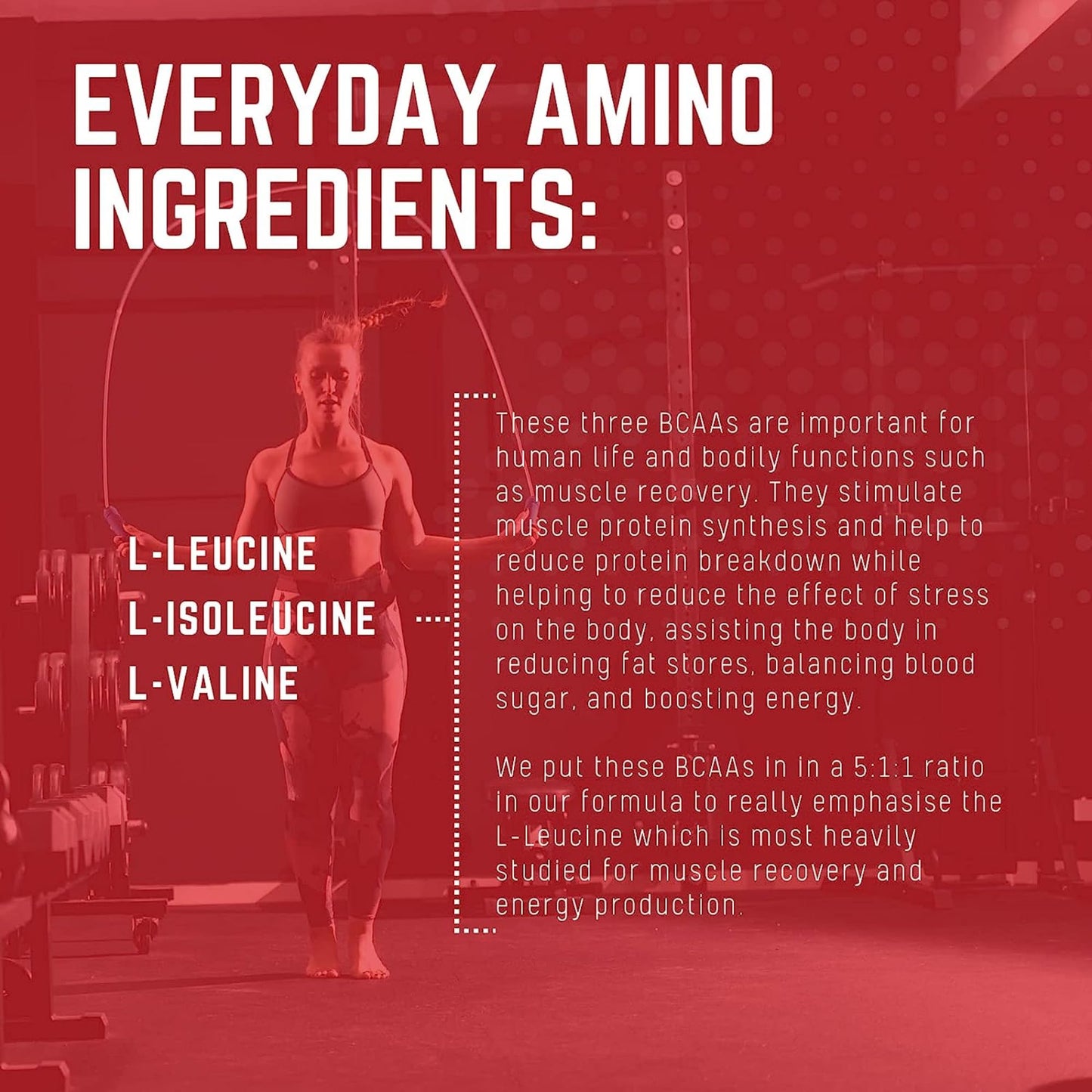 Purus Labs Everyday Amino BCAA Powder β Muscle Hydration & Recovery | Sugar Free & Gluten Free | 30 Servings (BlackBerry Cherry)