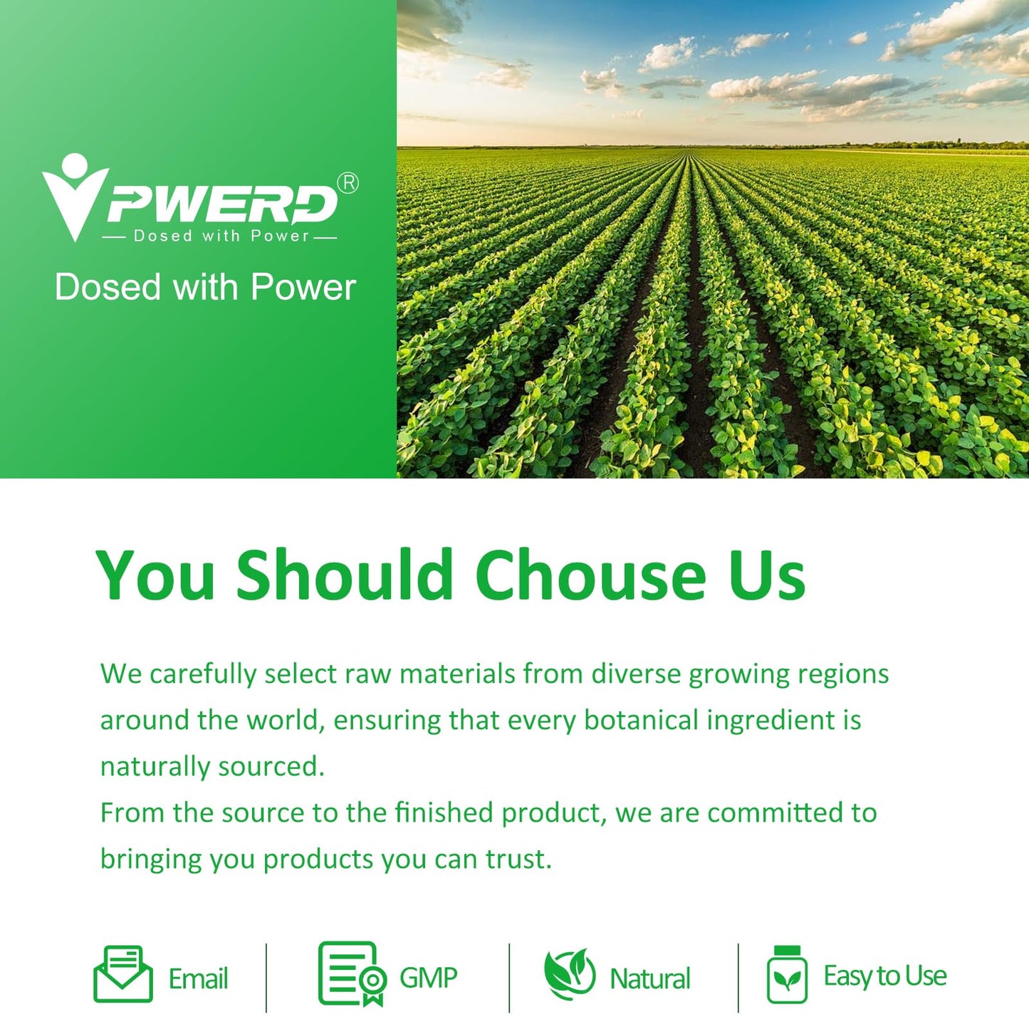 PWERD 300 Softgels: Wild Oregano Oil with Black Seed Oil โ Organic