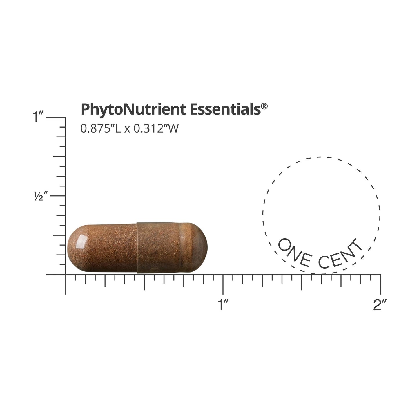 Dr. Whitaker's Forward Plus Daily Regimen โ Comprehensive Multivitamin (60 Packets, 30-Day Supply)