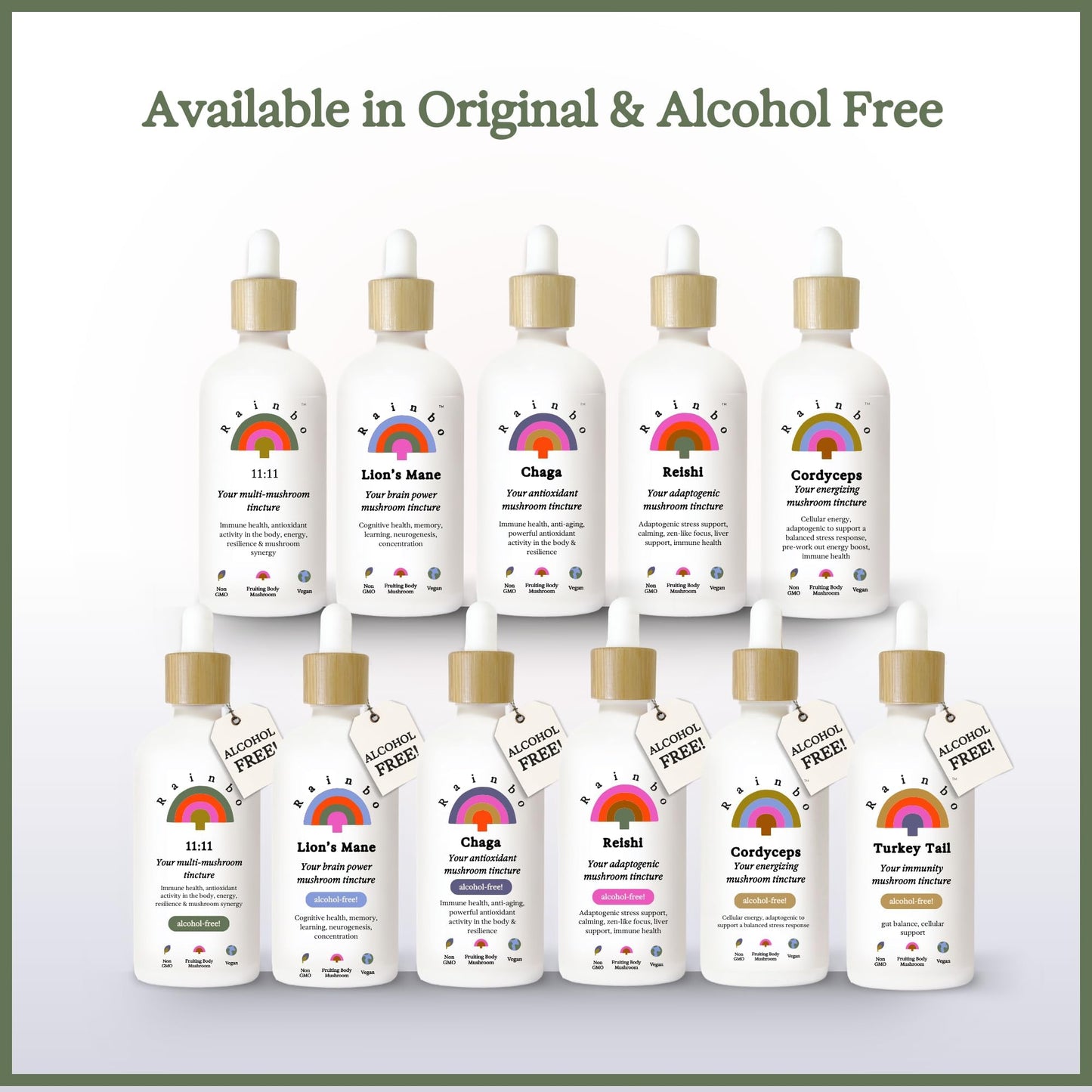 Rainbo 11:11 Multi Mushroom Tincture โ 11-Mushroom Dual Extract for Immune & Brain Support, 3.4 fl oz, Vegan
