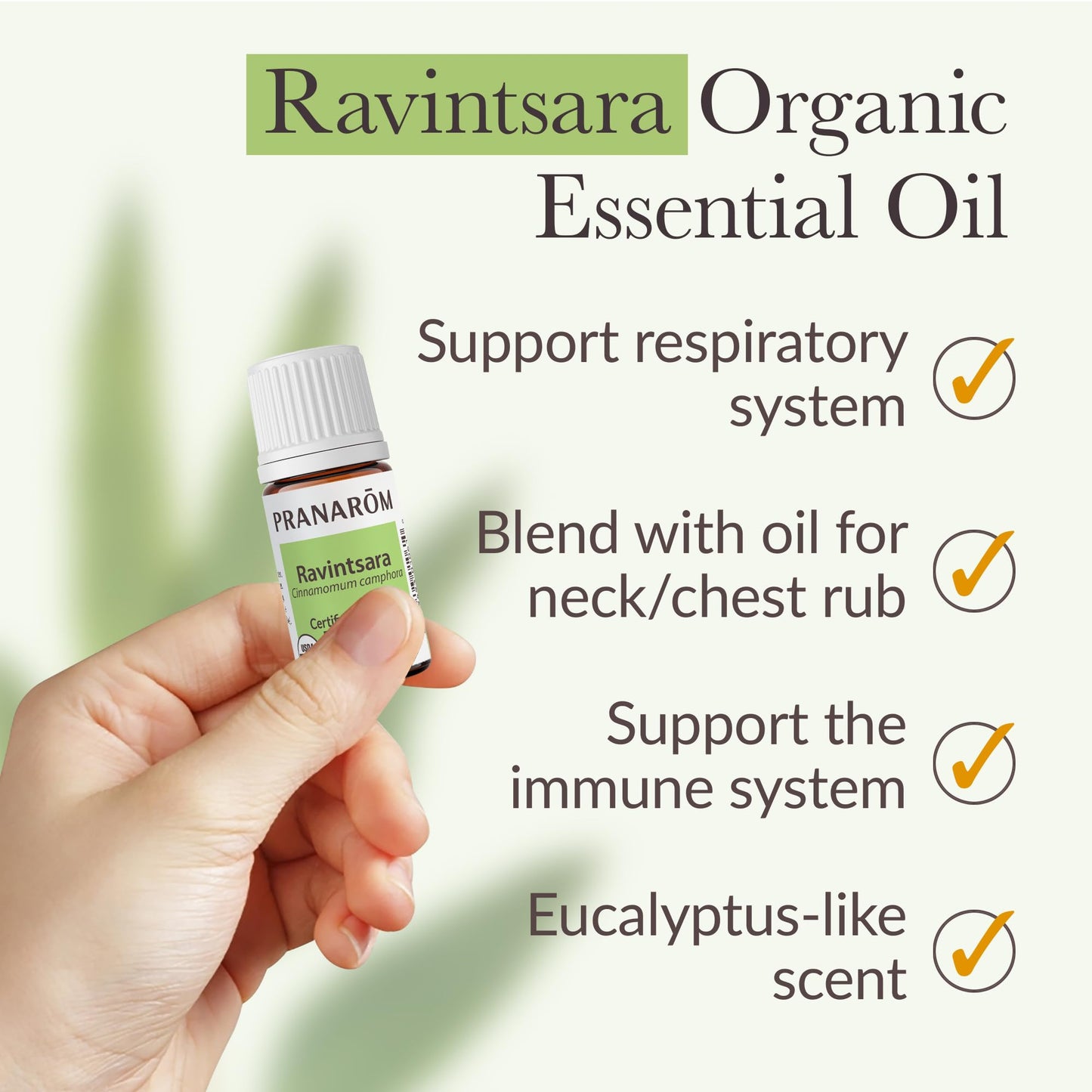 Pranarom Ravintsara CT 1,8-Cineole Essential Oil โ Organic, 100% Pure