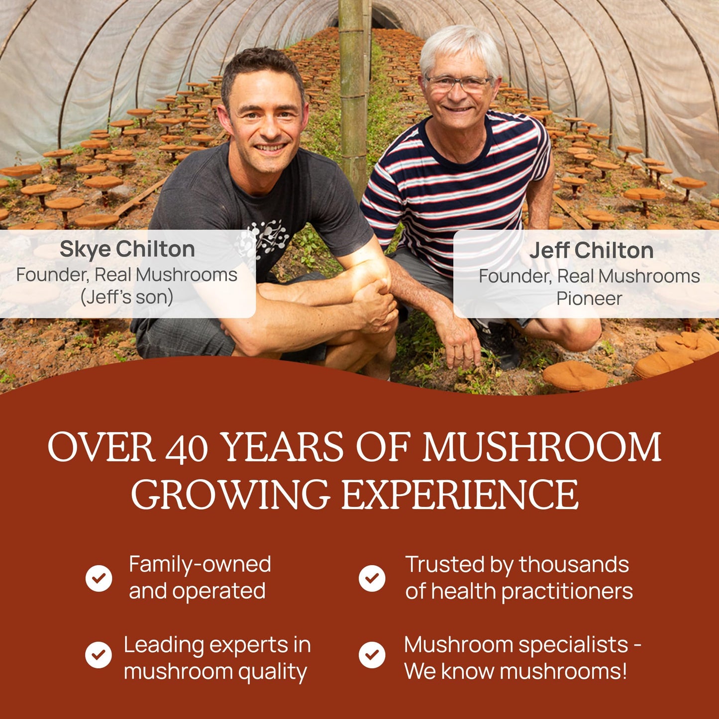 Real Mushrooms Reishi Powder β Organic Red Reishi Extract, 45 Servings, Beta-Glucans