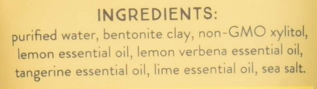 Redmond Real Salt Lemon Twist Earthpaste, 4 oz
