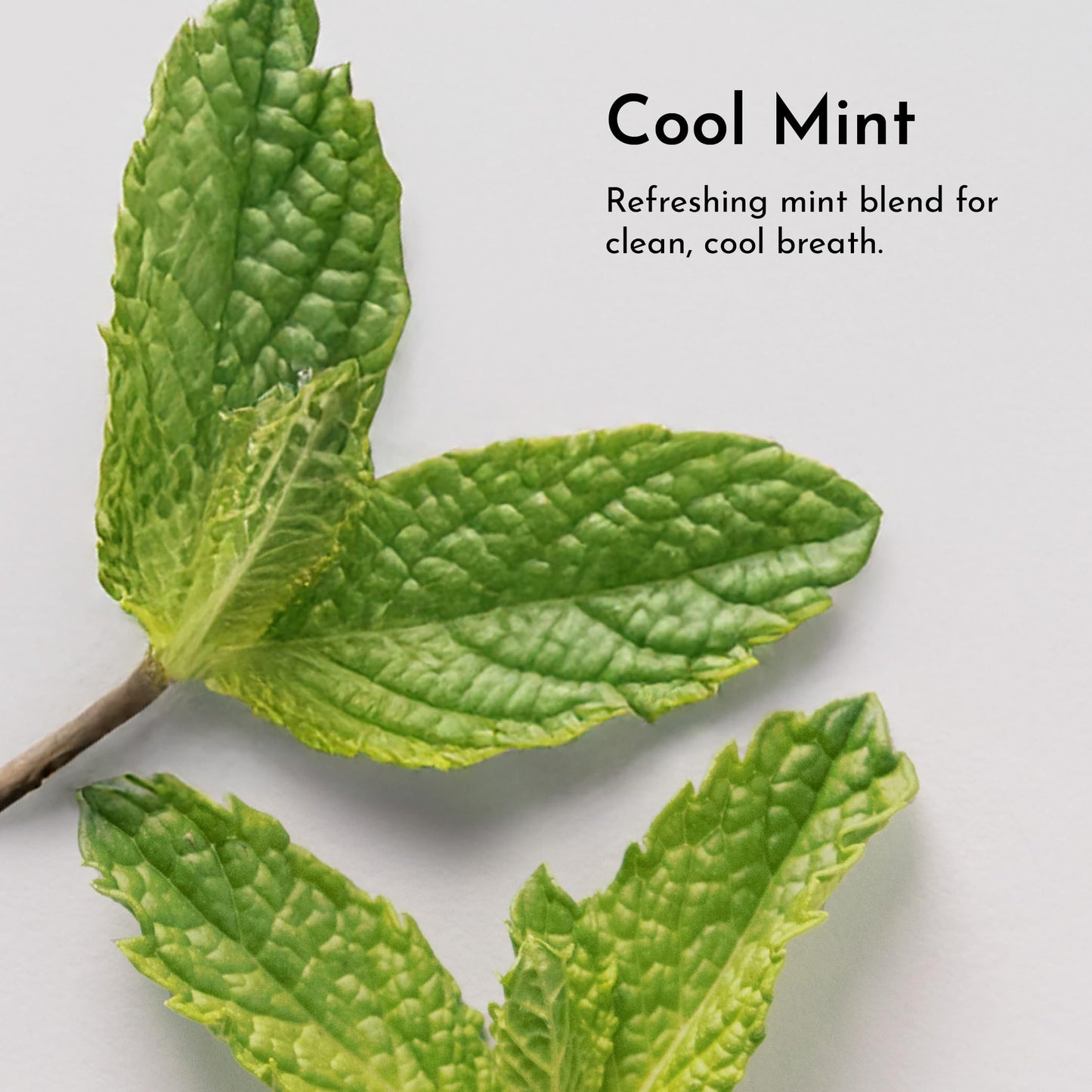 Remineralizing Tooth Powder โ Fluoride-Free, Vegan & Real Food