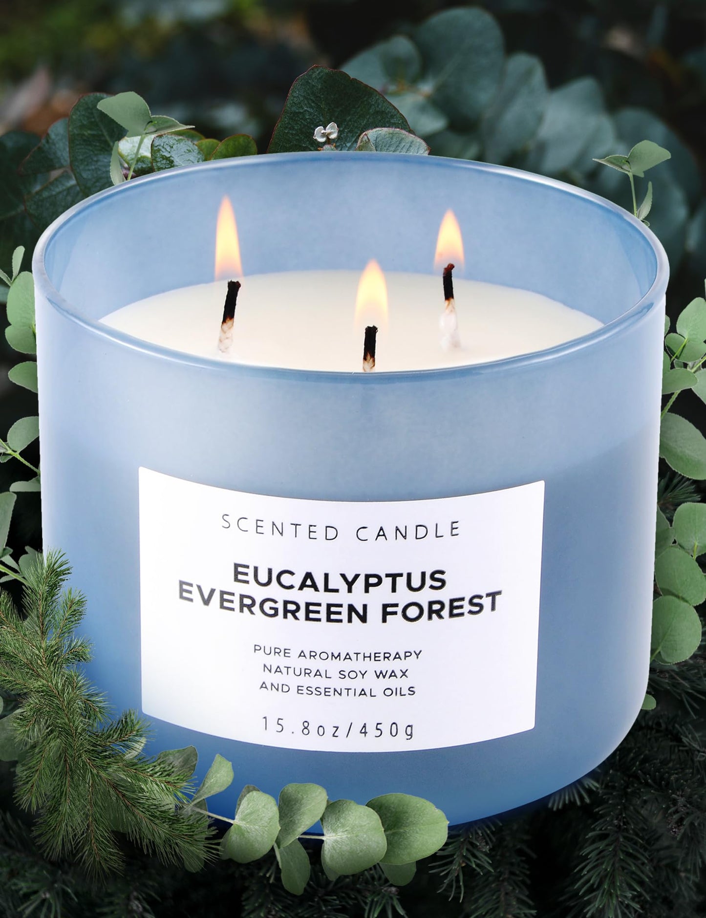 Eucalyptus Evergreen Forest 3-Wick Soy Candle โ 15.8 oz | Winter Pine, Balsam Fir & Evergreen Scented