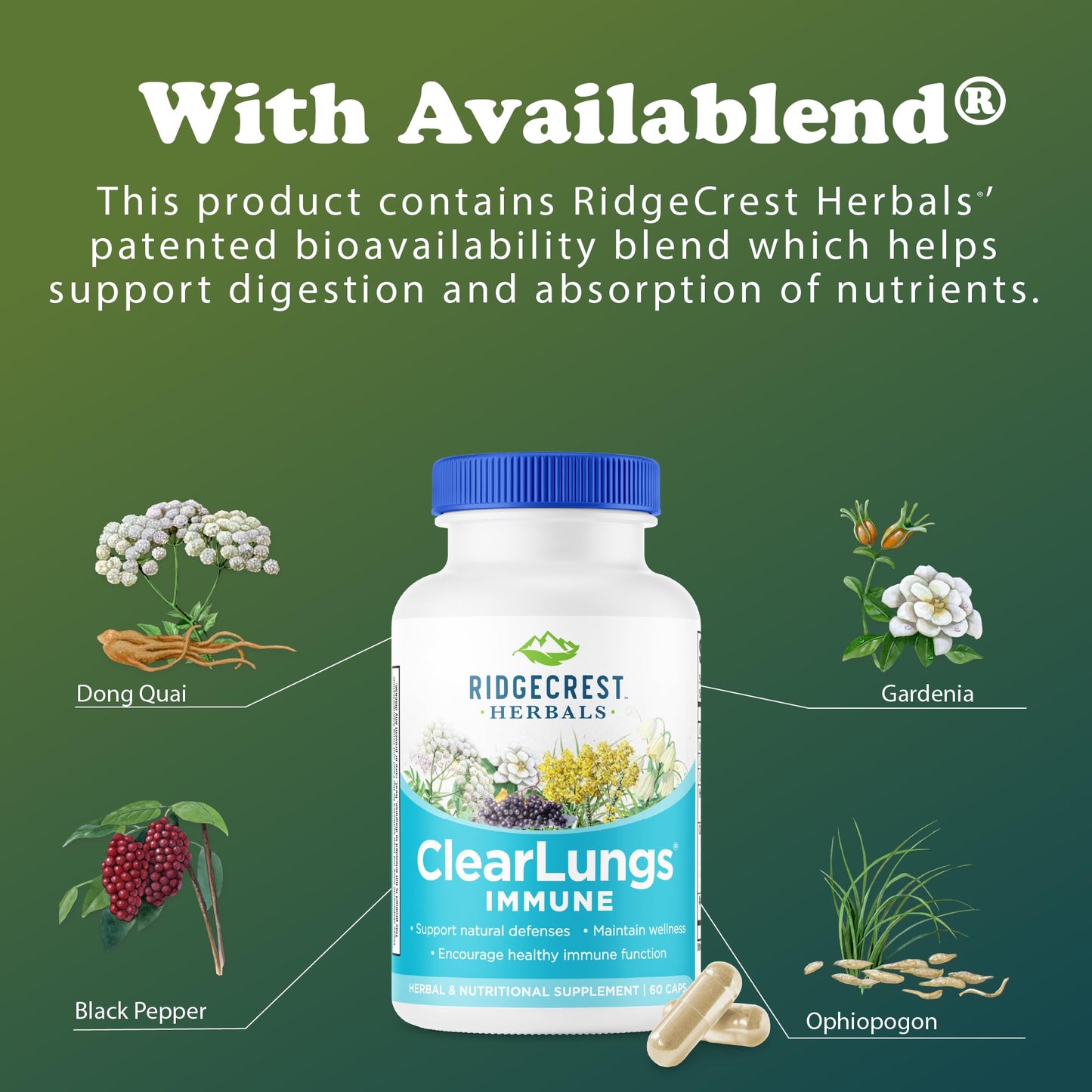 RidgeCrest ClearLungs Immune β Lung & Immune Support with Mullein, Elderberry, Zinc (60 Caps, 30 Serv)