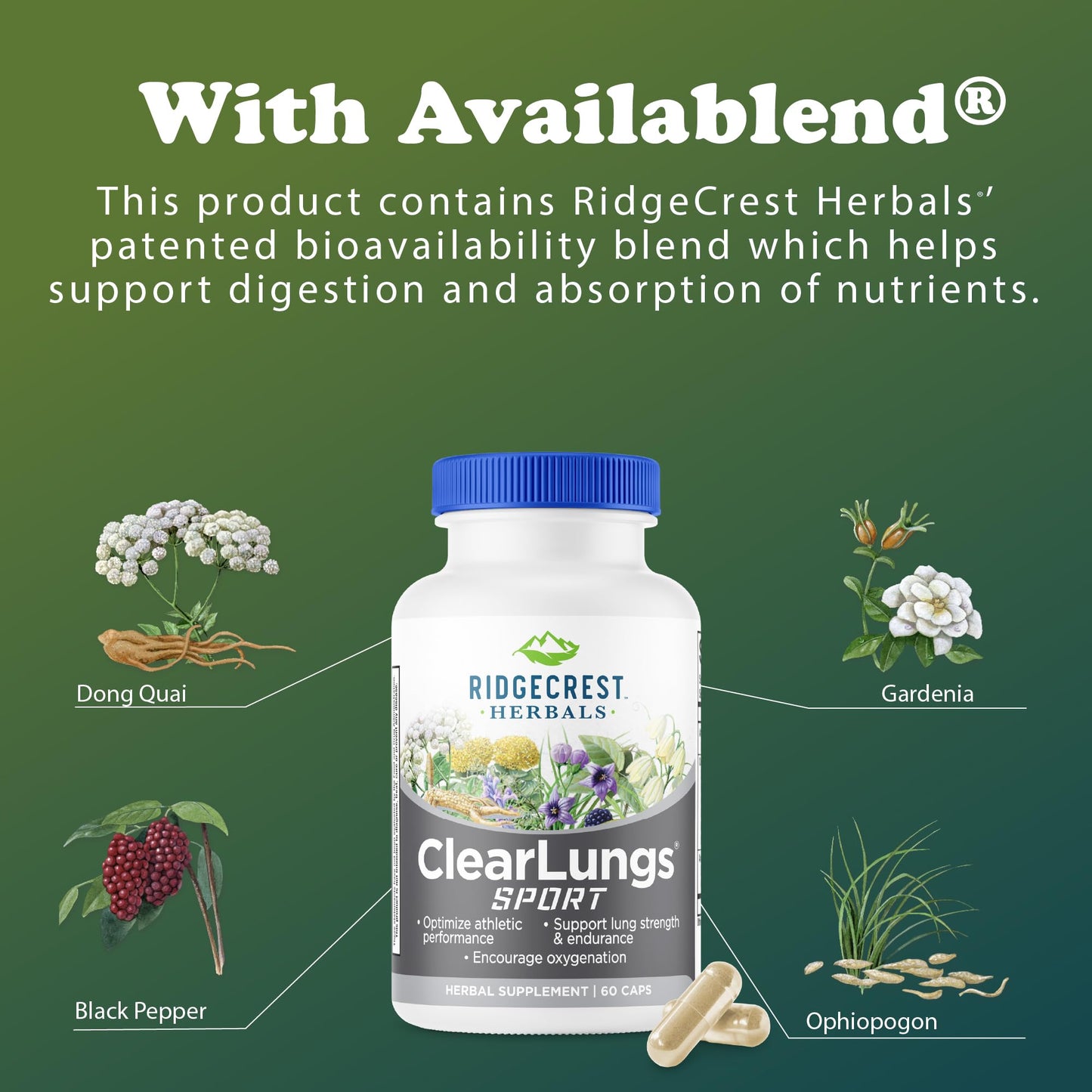 Ridgecrest ClearLungs Sport โ Oxygen & Lung Support Formula (Cordyceps, Rhodiola, Eleuthero, 60 Veg Caps)