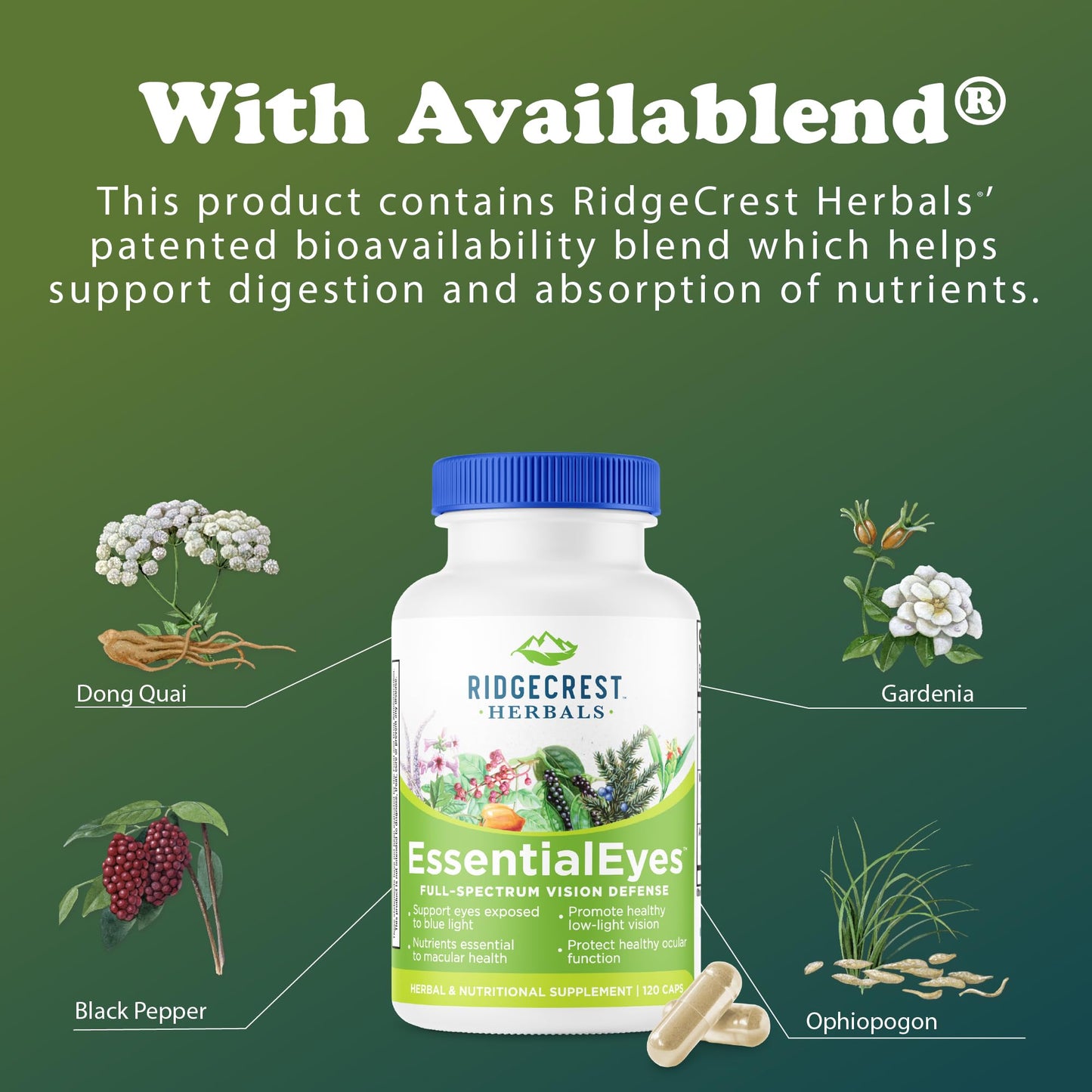 Ridgecrest Herbals EssentialEyes โ Natural Eye Vitamin with Lutein, Zeaxanthin & Bilberry Extract | 120 Vegan Caps