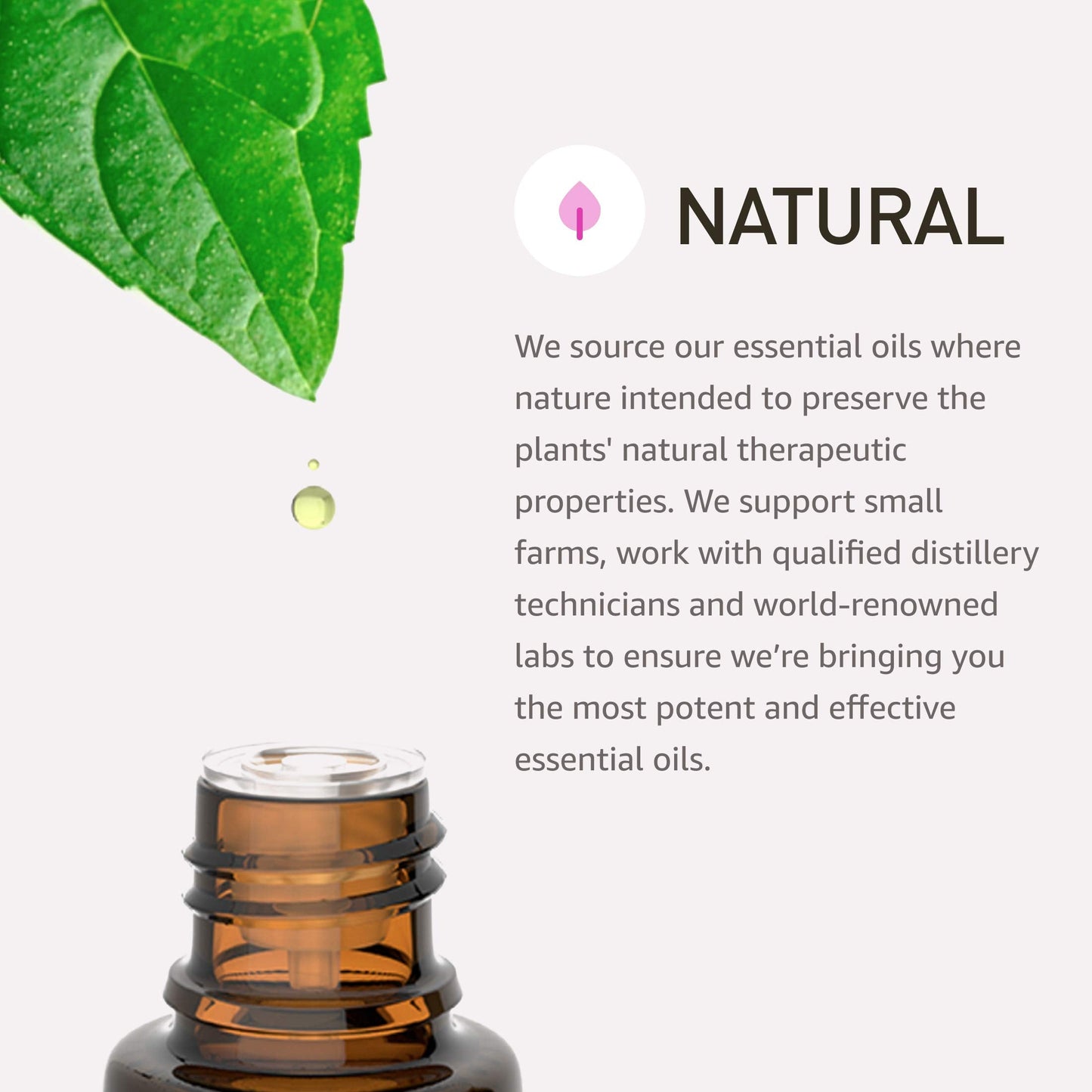 Rocky Mountain Oils Aligning Essential Oil Blend 15 ml β 100% Pure Essential Oils in Fractionated Coconut Oil (Pack of 2)