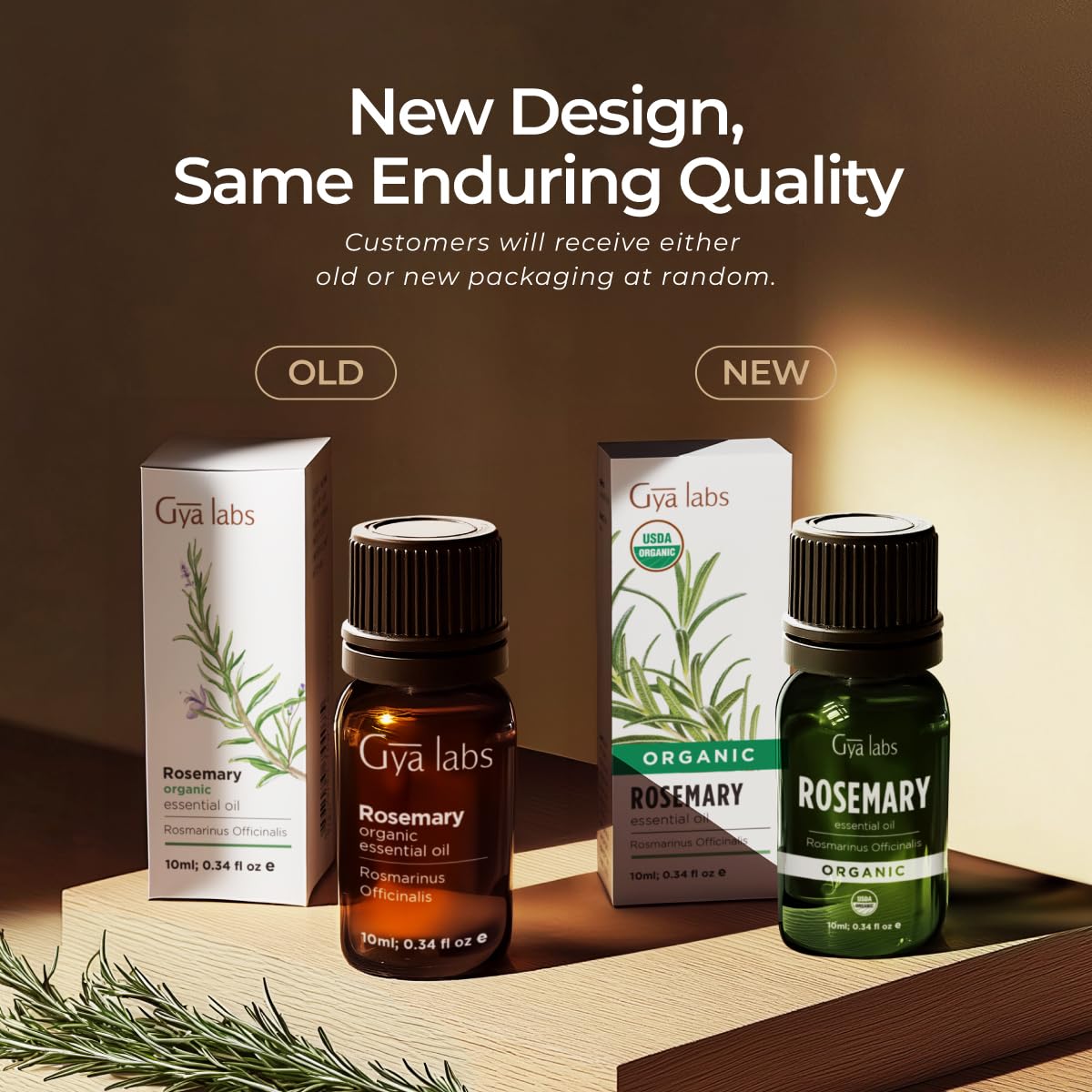 Gya Labs Organic Rosemary Essential Oil 0.34 Fl Oz - Hair, Skin, Diffuser