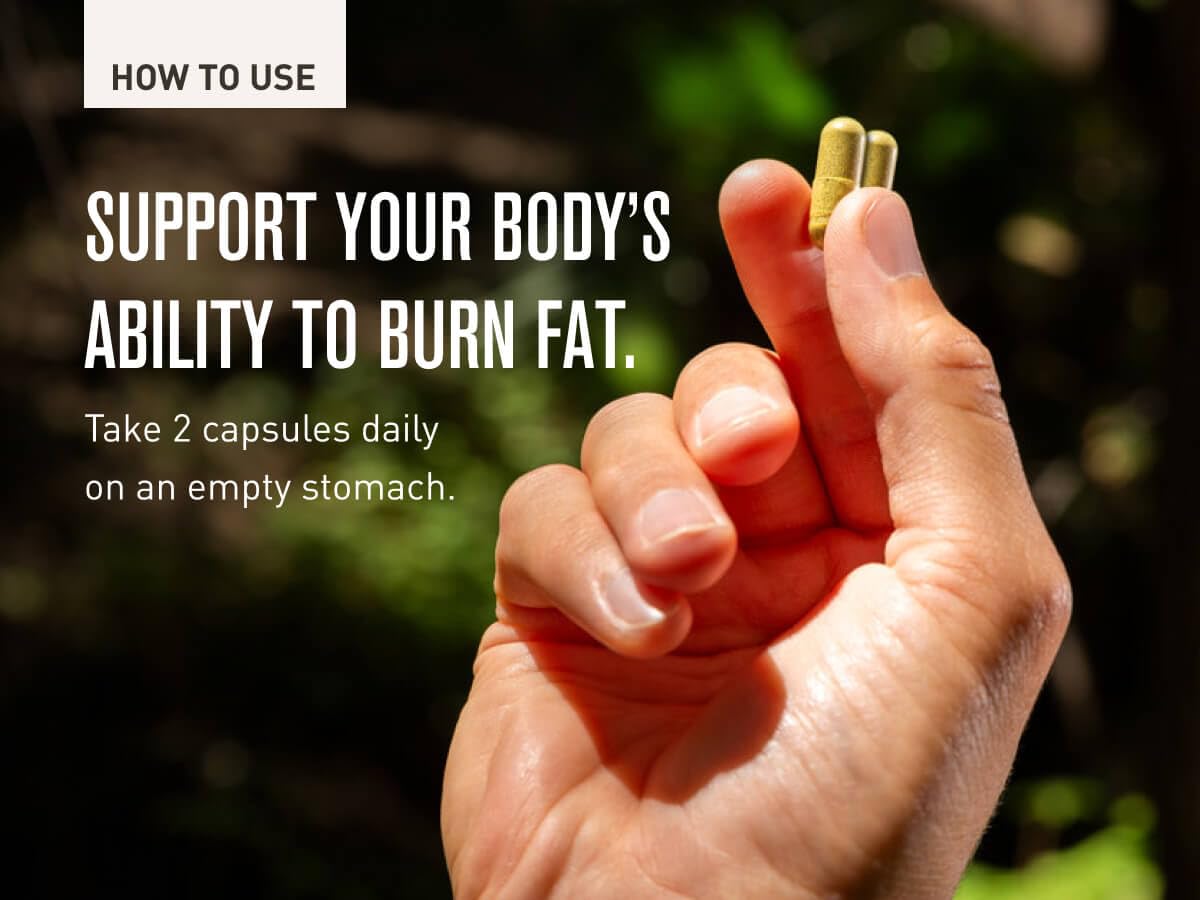 ROUNDHOUSE PROVISION Three Hit Combo β Fat Burner, Energy & Wellness (60 Capsules)