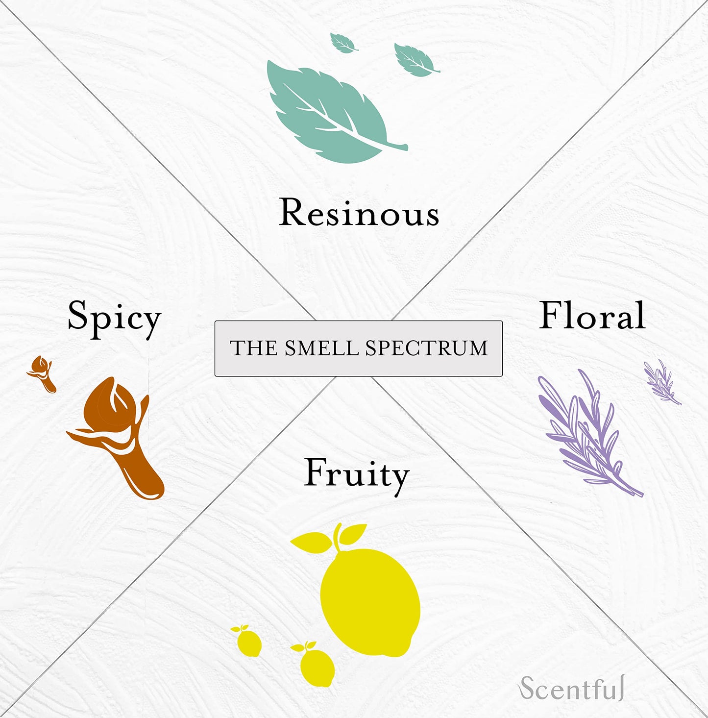 Scentful Smell Training Kit โ Smell Retraining Therapy | Restore Sense of Smell and Taste | Made in USA with 4 Organic Essential Oils