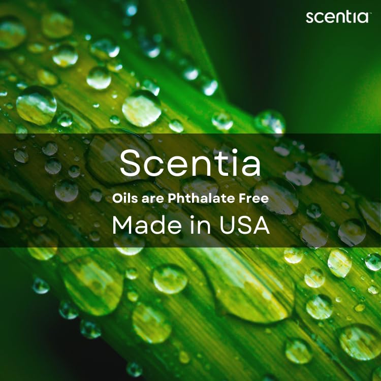 Scentia Citrus Harmony โ 120ml Premium Aromatherapy Diffuser Oil