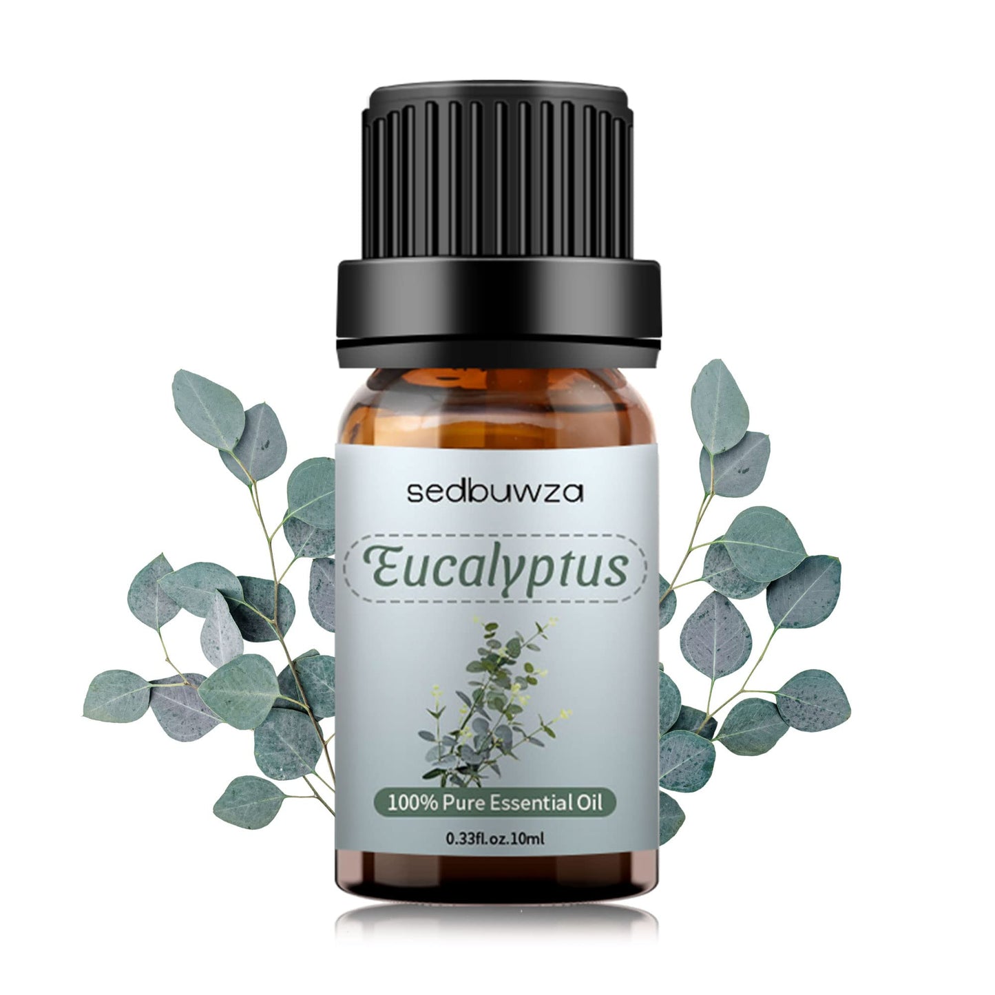 Sedbuwza Eucalyptus Essential Oil โ Pure Organic Fragrance for Diffuser & Soap