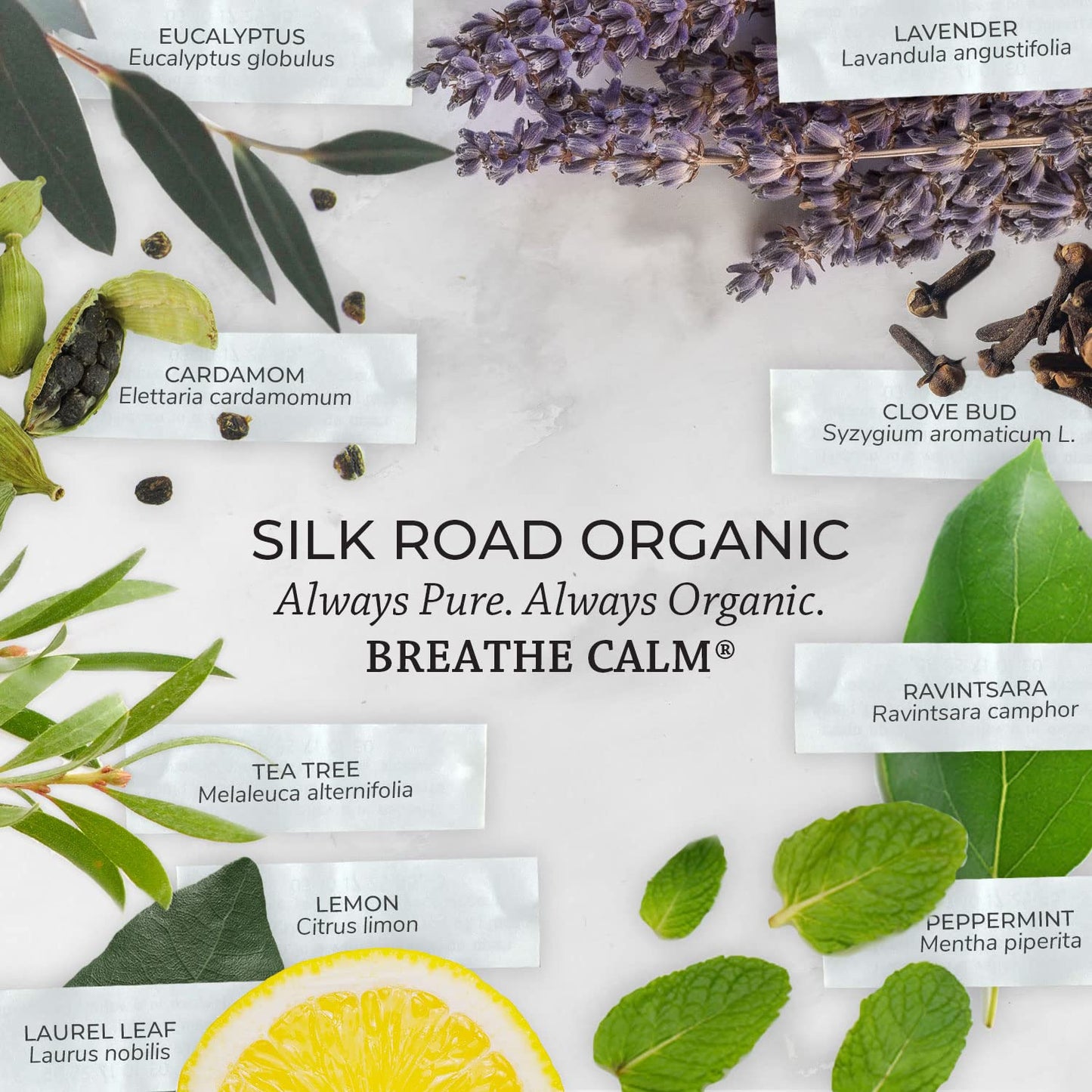Silk Road Breathe Calm Essential Oil Blend โ 100% Pure, USDA Organic, 10ml