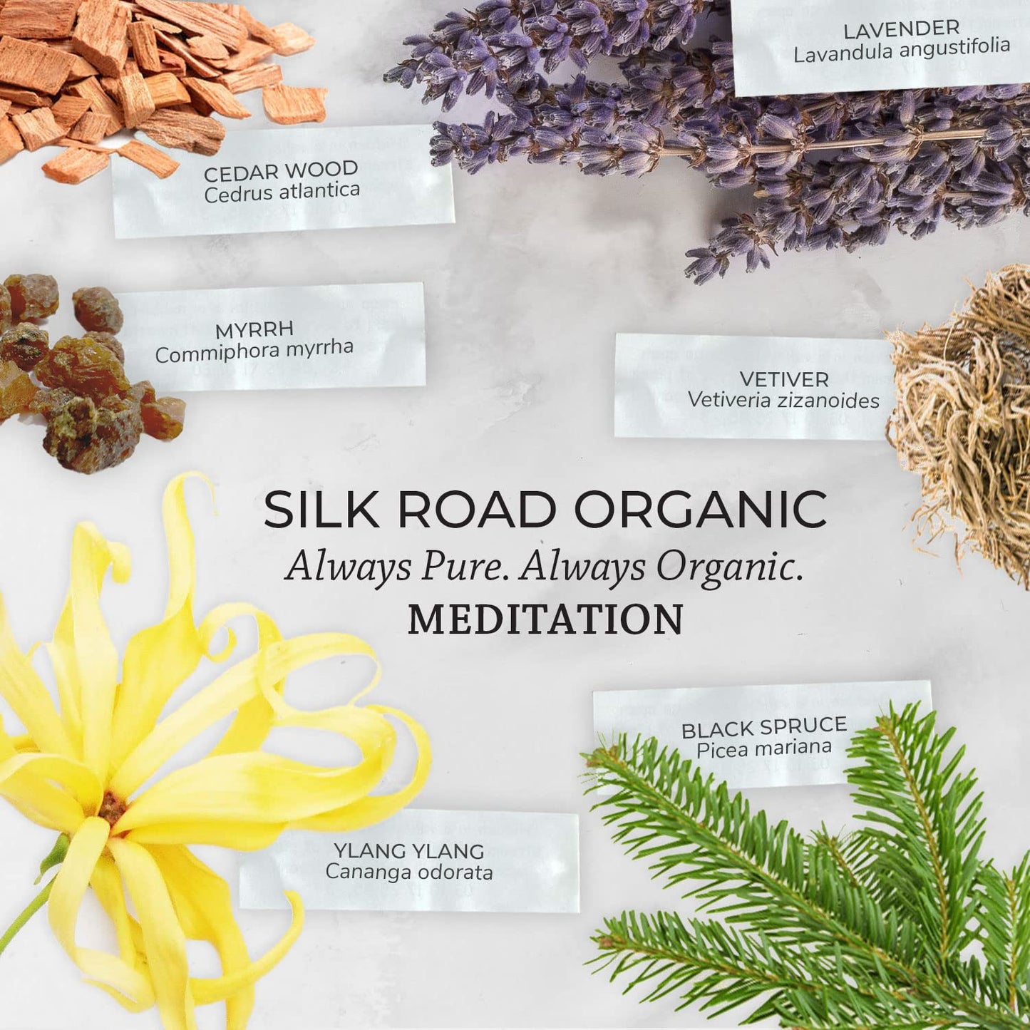 Silk Road Organic Meditation Essential Oil Roll-On โ 100% Pure USDA Organic, 10ml โ Chakra Healing & Mindfulness