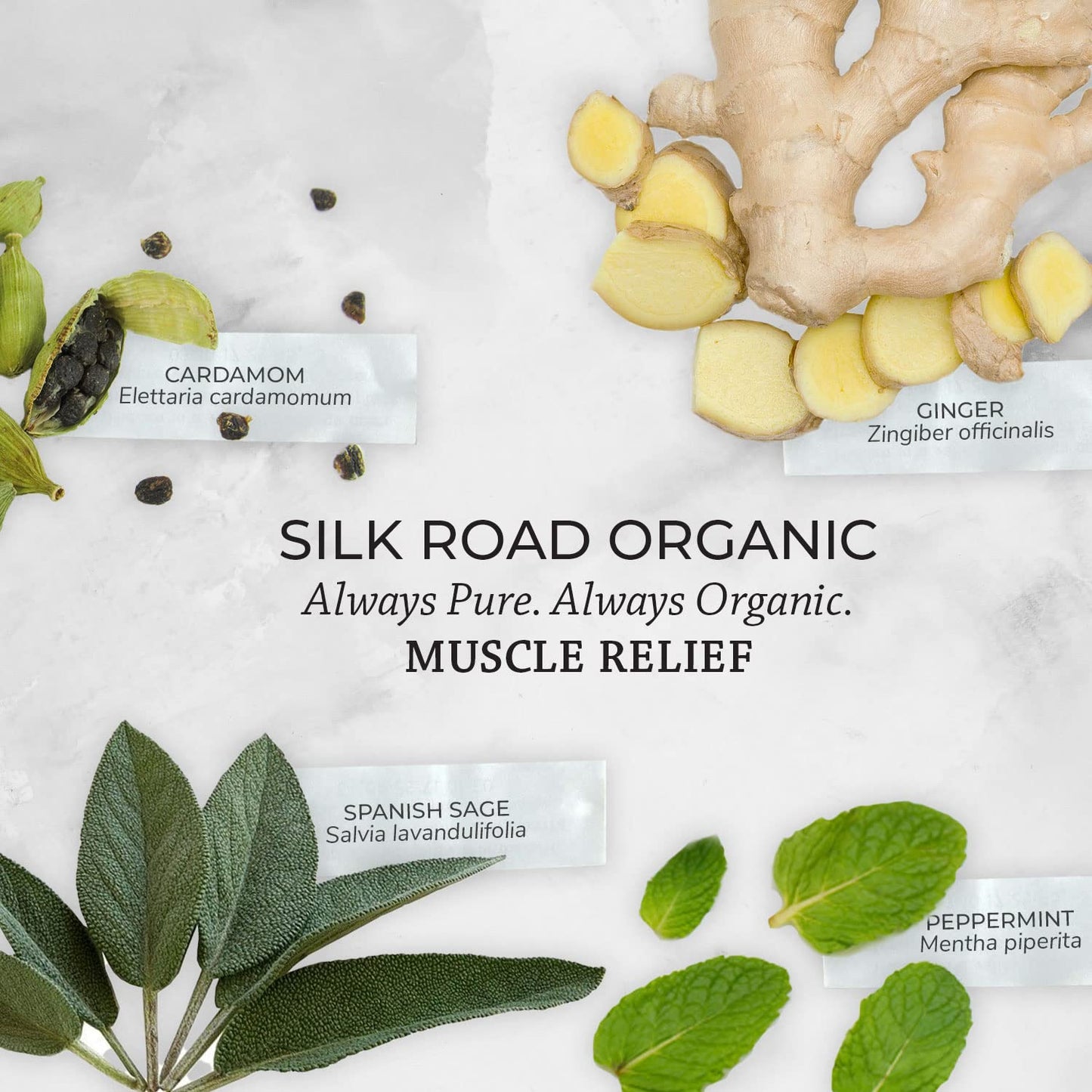 Silk Road Organic Muscle Relief Roller โ USDA Organic Peppermint & Ginger 10 ml