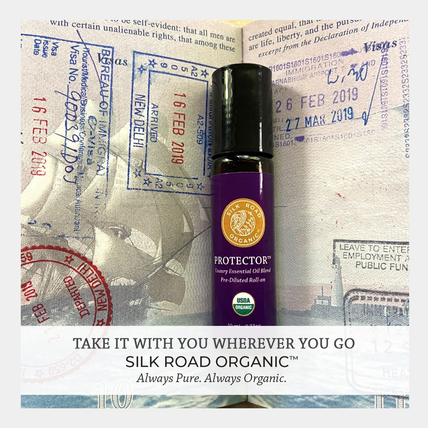 Silk Road Protector Essential Oil Roll-On โ Thieves Immunity Blend, USDA Organic, 10 ml