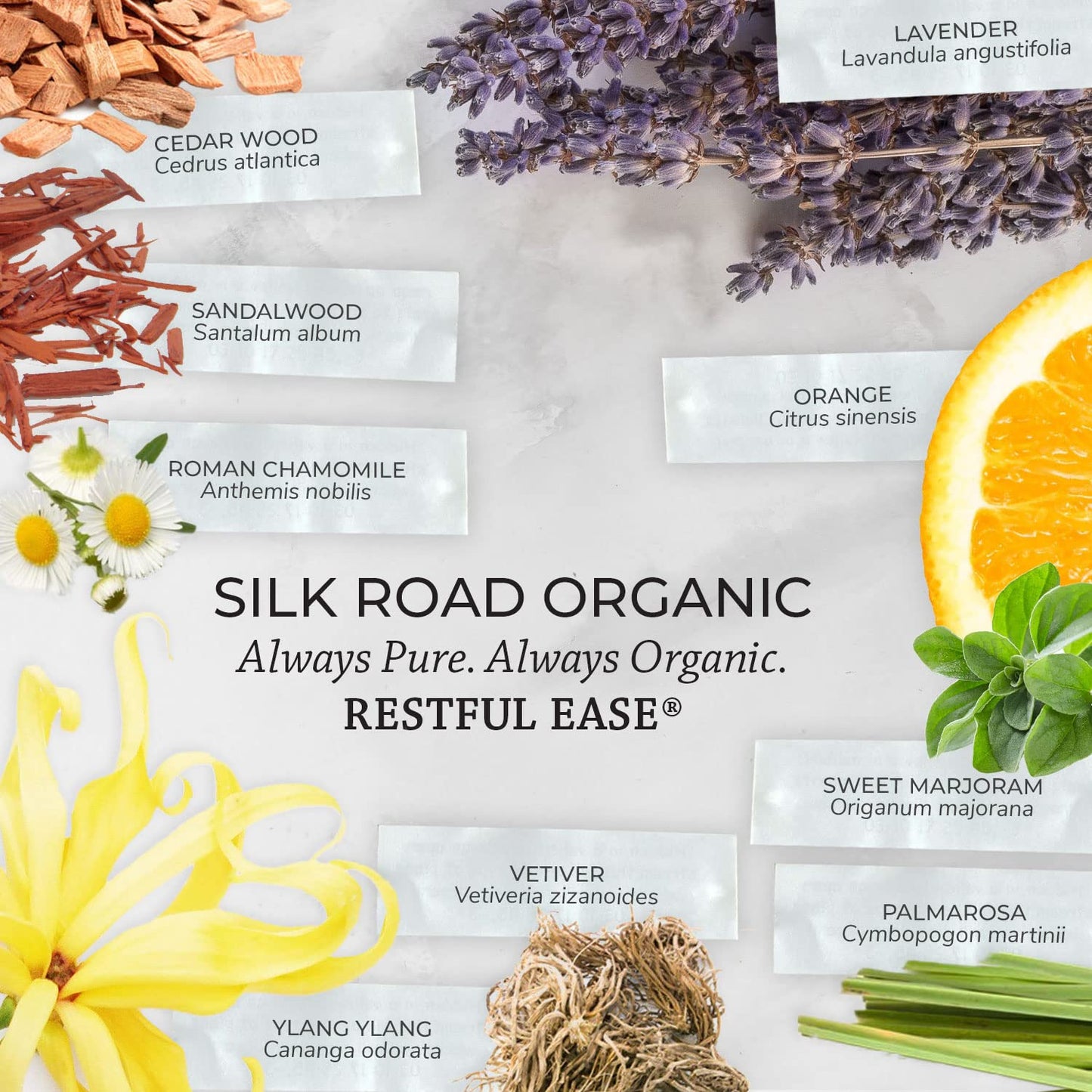 Silk Road Organic Restful Ease Roll-On โ 10ml, Indian Sandalwood | USDA Certified