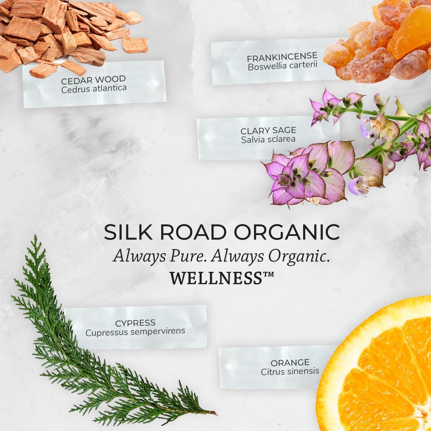 Silk Road Vitality Blend Essential Oil โ 100% Pure USDA Organic (10 ml) โ Frankincense, Cypress, Cedarwood, Clary Sage, Orange