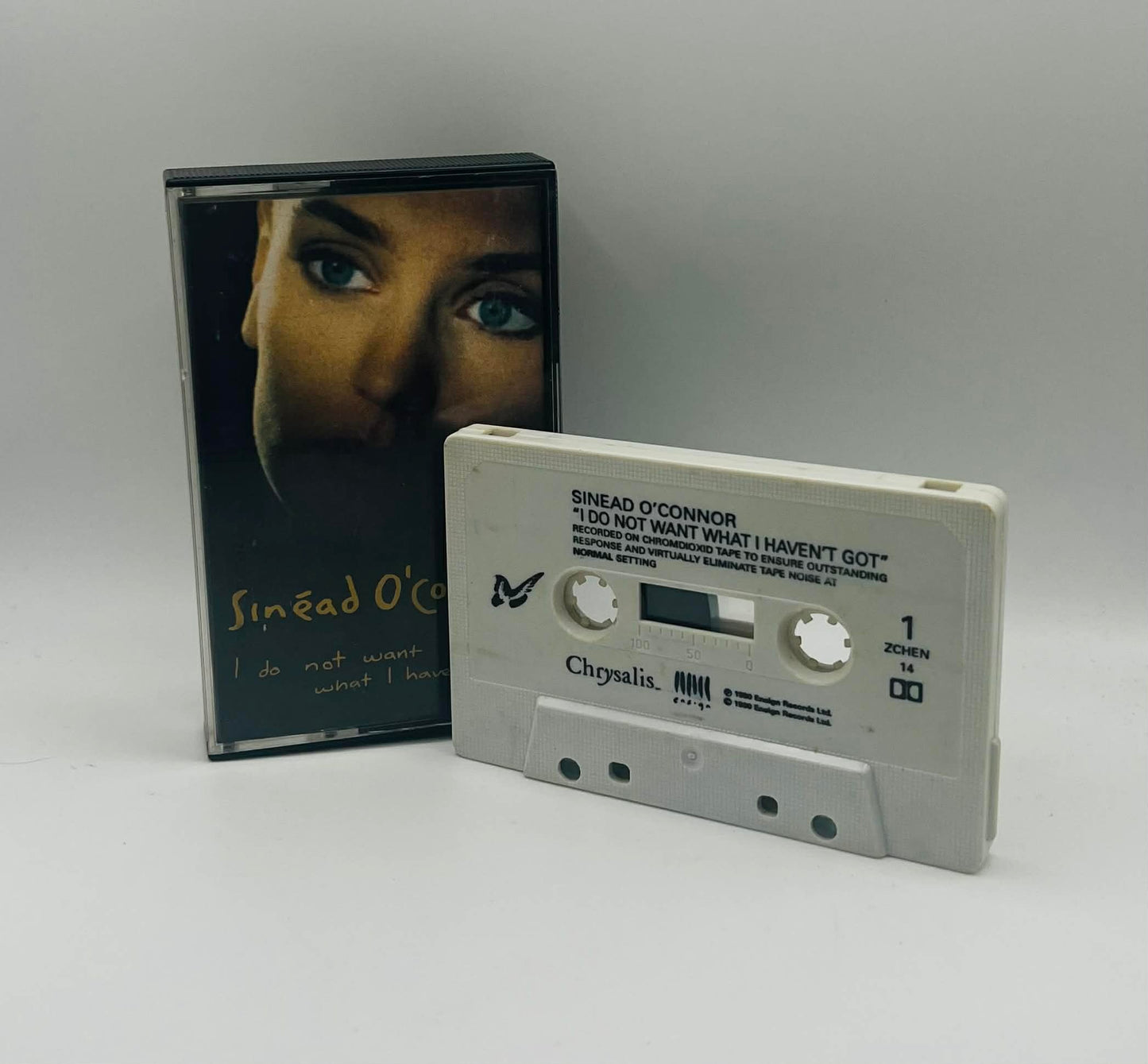 Sinead O'Connor (I Do Not Want What I Haven't Got)