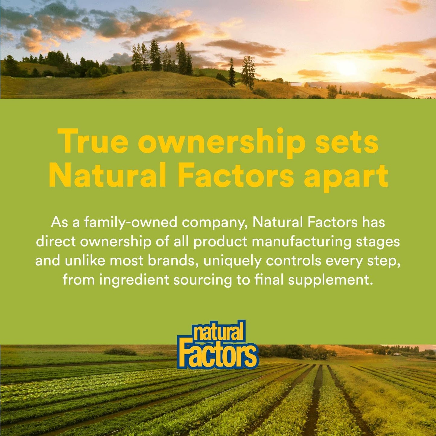 Herbal Factors Sleep Relax Formula – Natural Sleep Aid with Valerian, Passion Flower & Skullcap (Non-GMO; 90 capsules)