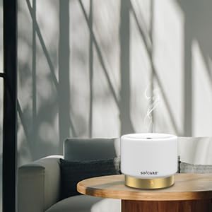 SOICARE Glass Diffuser with Gold Base โ 280ML, Dimmable, Auto Shut-Off