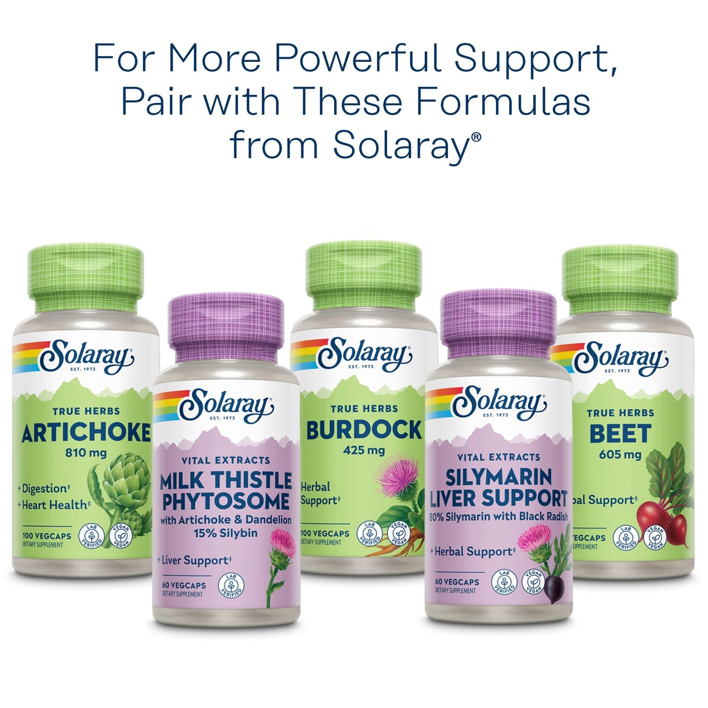 SOLARAY Milk Thistle Seed Extract 350 mg โ 80% Silymarin | Vegan Liver Support | 60-Day Guarantee | 30 Servings