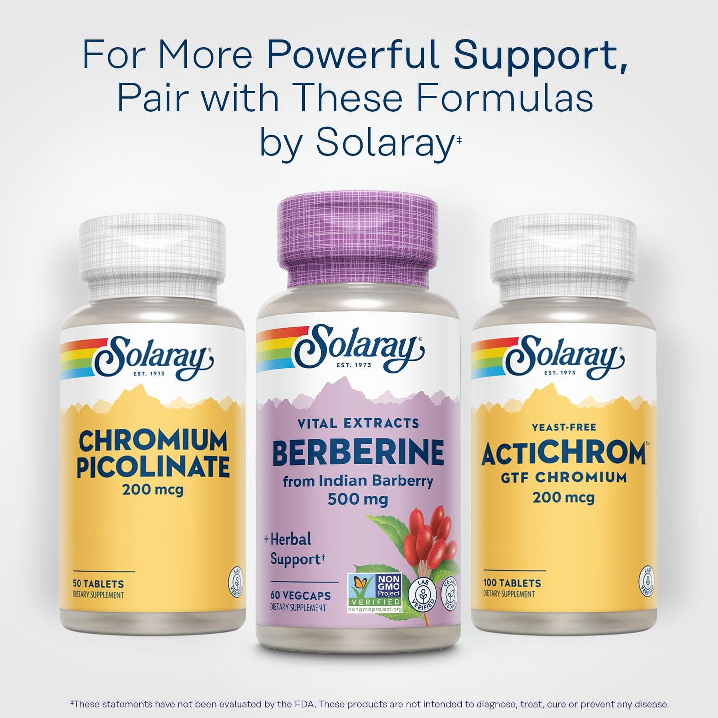 SOLARAY Berberine 500mg โ Berberine Supplement for a Healthy, Active Lifestyle | 60 Servings, Vegan & Non-GMO