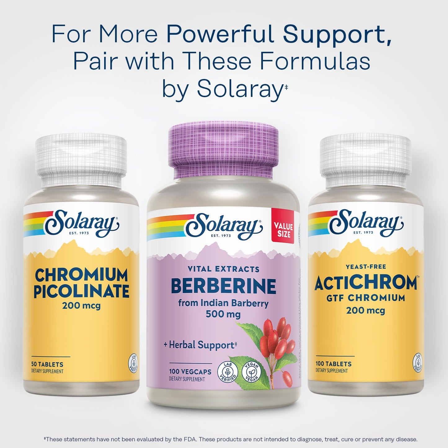 SOLARAY Berberine 500mg β Berberine HCl from Indian Barberry, Vegan, Non-GMO, 100 Servings