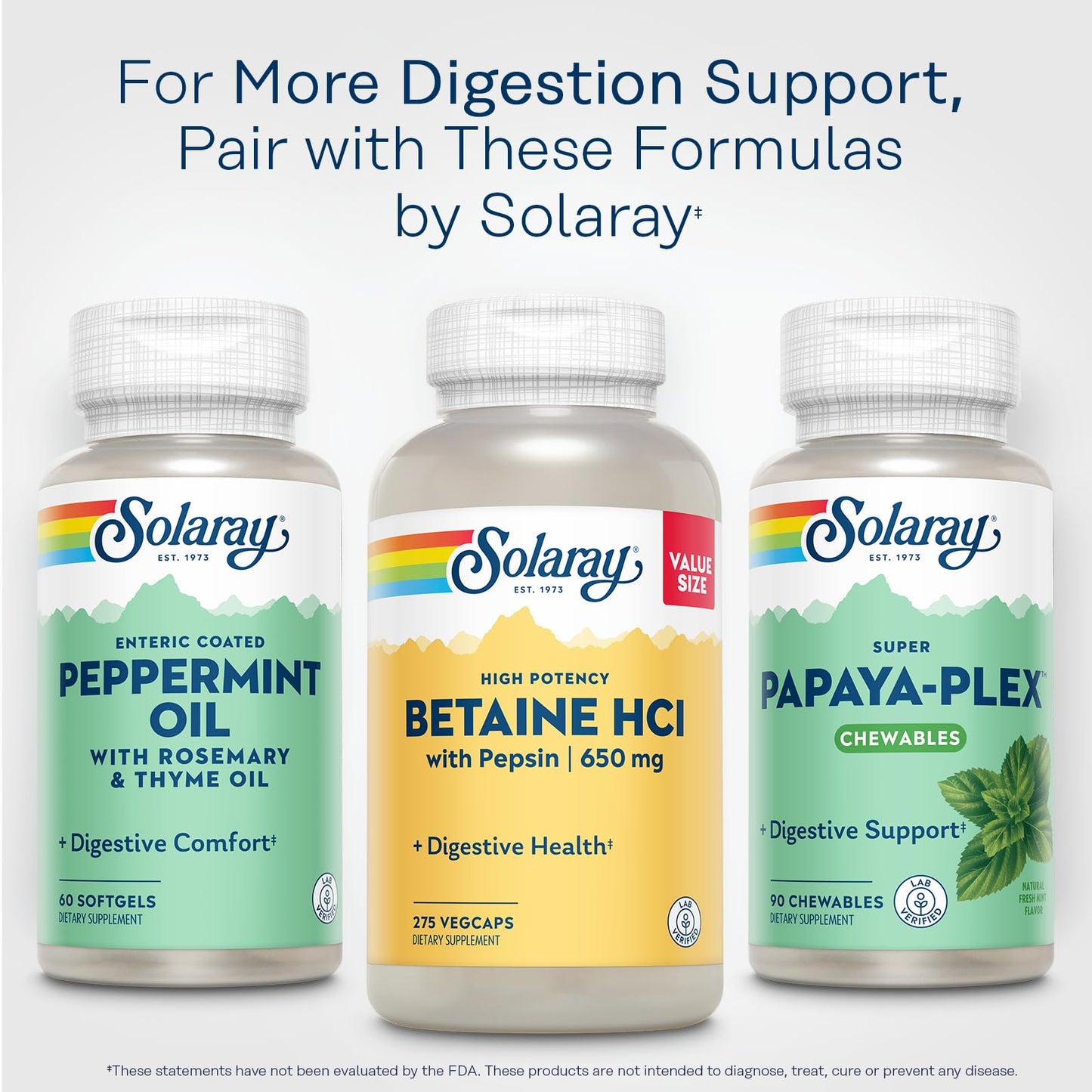 Solaray Betaine HCL with Pepsin – Digestive Enzymes for Gut Health | 60-Day Guarantee