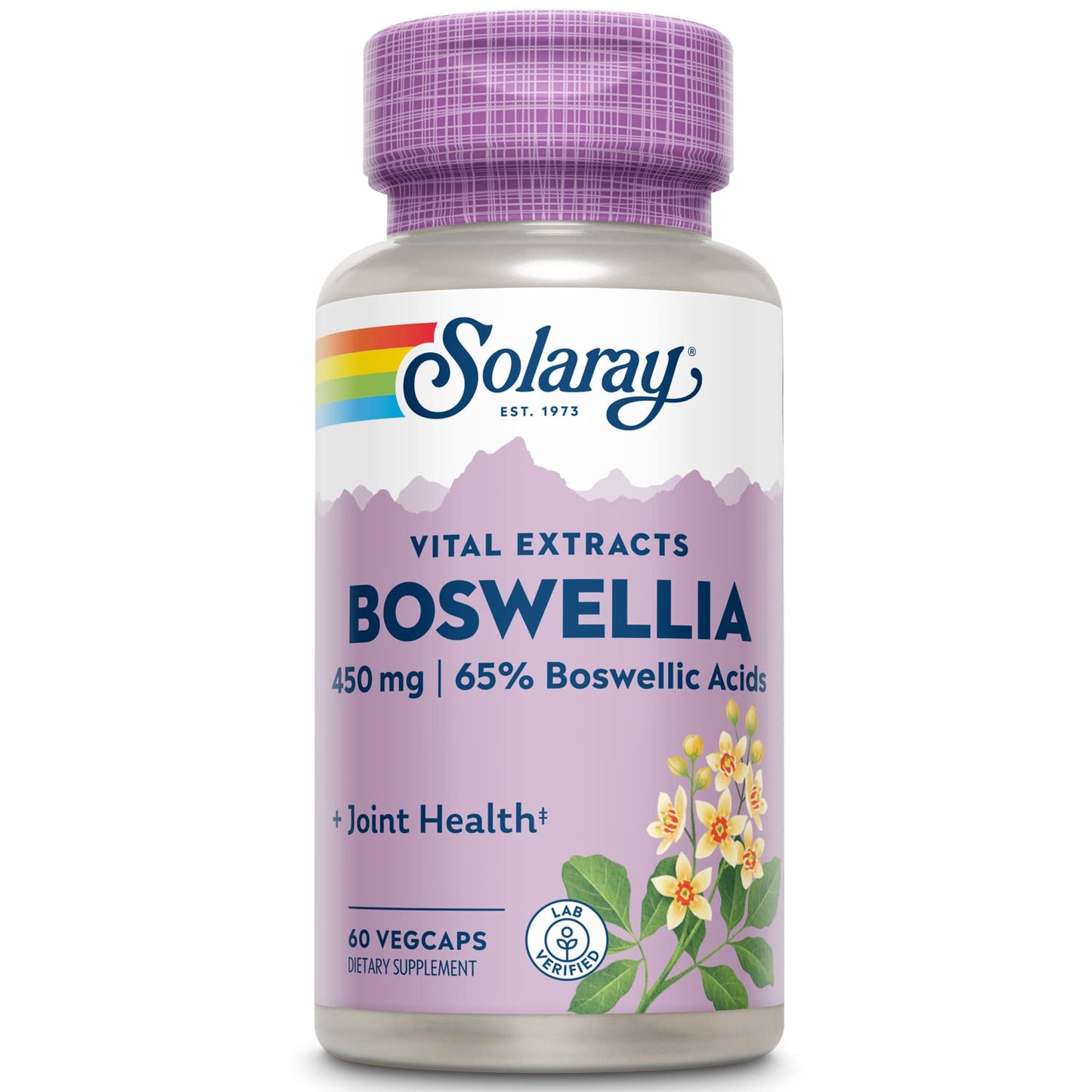 Solaray Boswellia Resin Extract 450 mg VCapsules (60 Count) โ Guaranteed Potency for Joint Health
