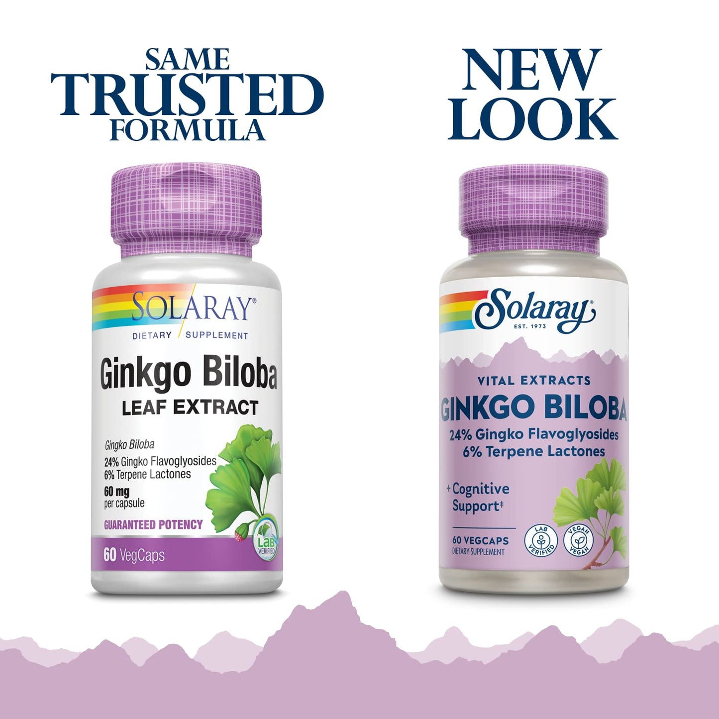 Solaray Ginkgo Biloba Extract 60 mg โ 60 Count (Pack of 2) | Herbal Supplement