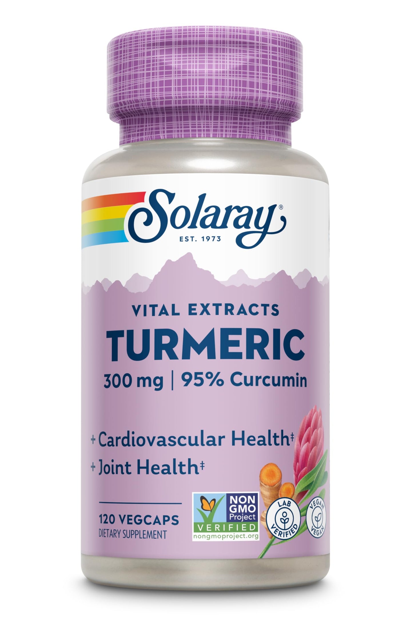 Solaray Guaranteed Potency Turmeric Root Extract 300 mg VCapsules โ 120 Count