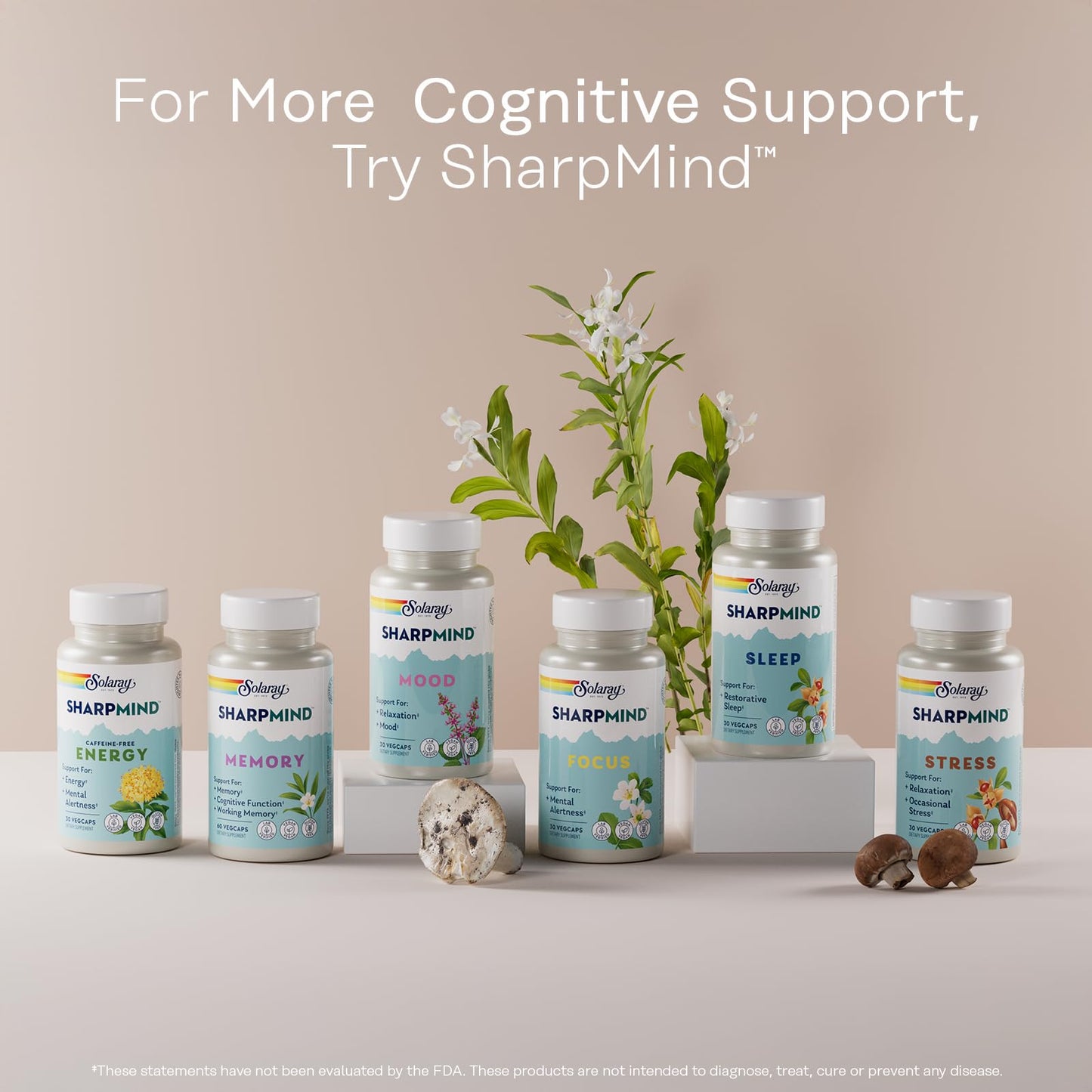Solaray Ginkgo Biloba with Gotu Kola โ Brain Health, Vegan, Lab Verified, 60-Day Guarantee (Pack of 2)