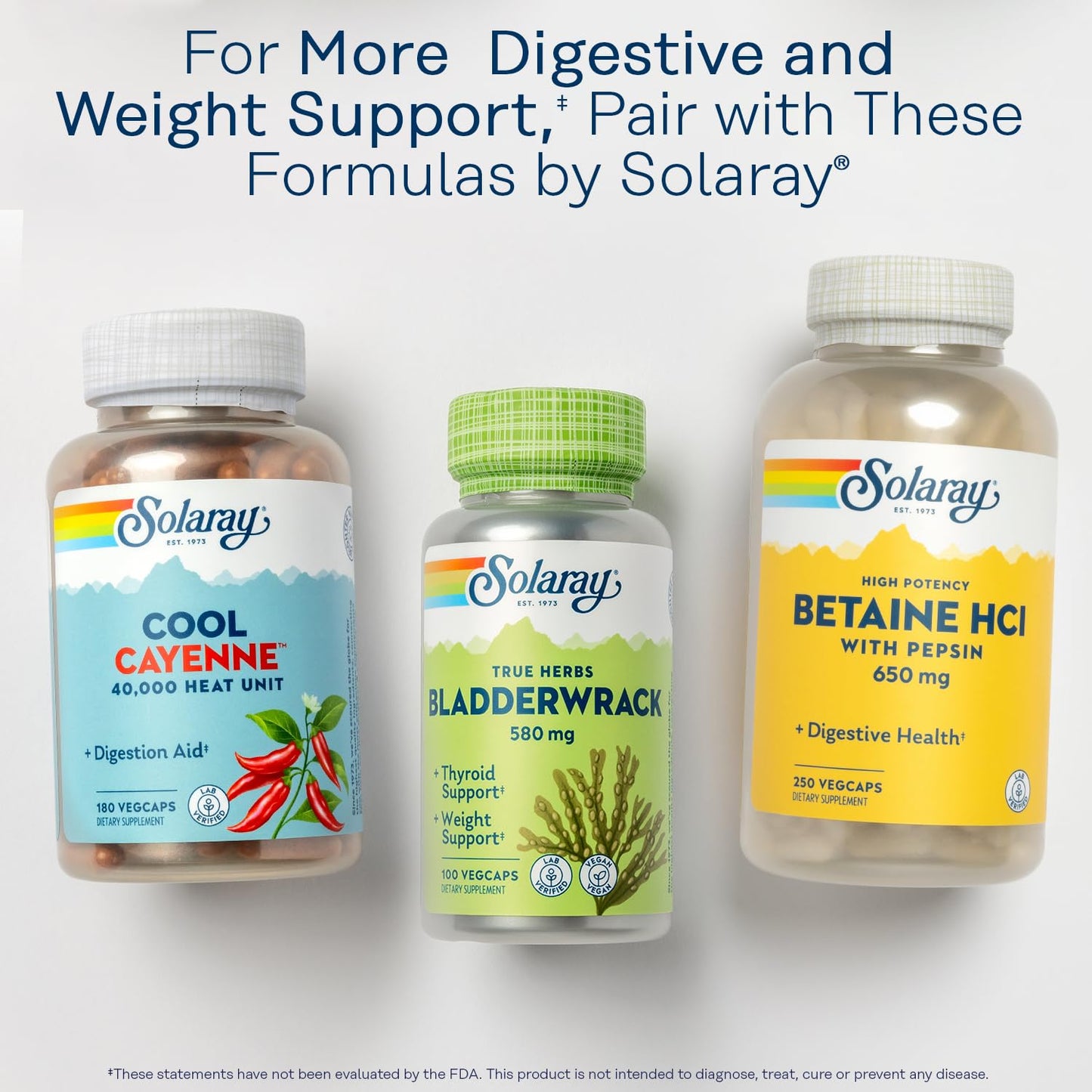 SOLARAY Lipotropic 1000 Plus โ Betaine HCl & B-6 for Digestion, Energy & Fat Metabolism | 180 Capsules