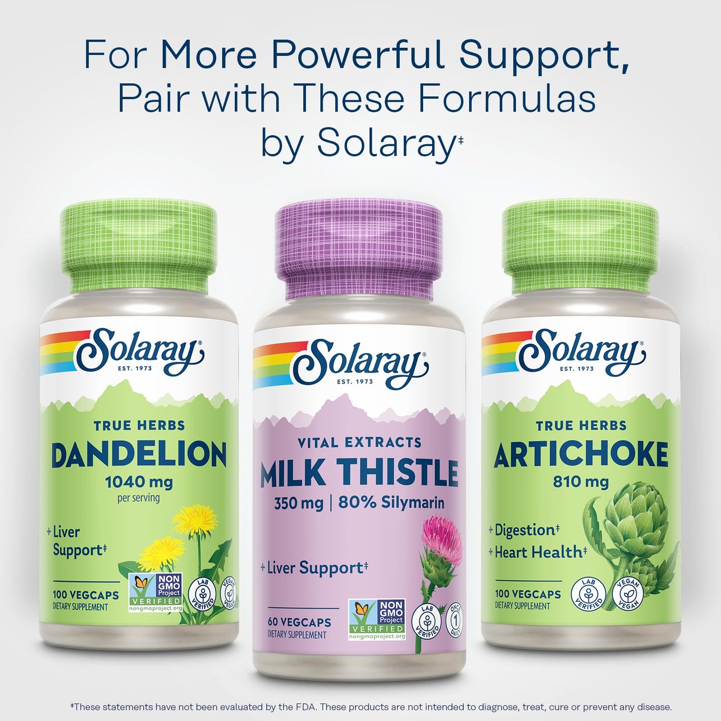 SOLARAY Milk Thistle Seed Extract 350 mg β 80% Silymarin | Vegan Liver Support, 60 VegCaps