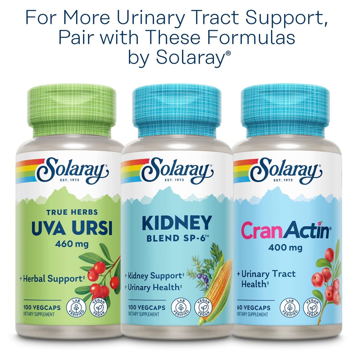 SOLARAY Nettle Leaf 450mg โ Kidney, Urinary & Prostate Support | Respiratory Wellness (180 CT)