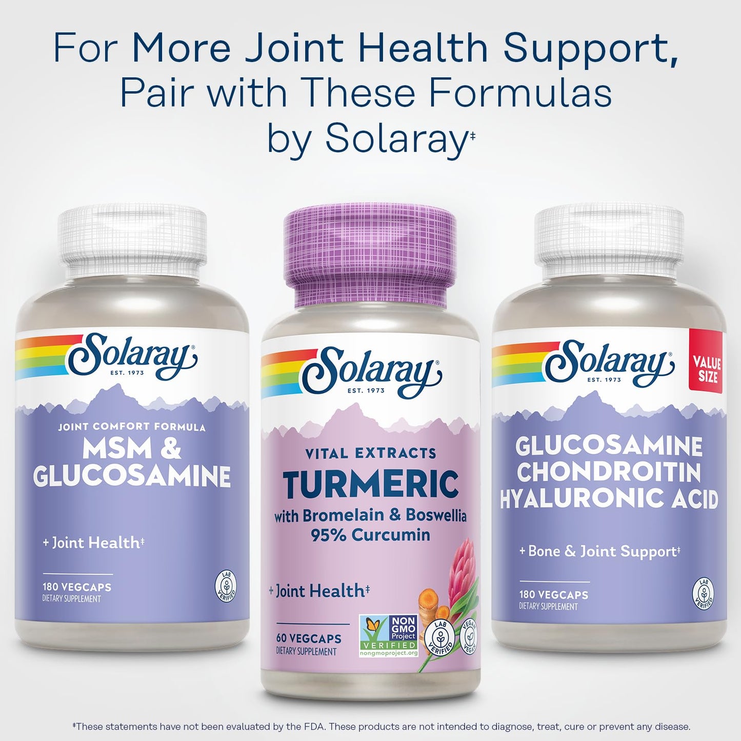 SOLARAY Turmeric Curcumin Supplement with Bromelain & Boswellia โ 95% Curcumin, 60 Servings, Vegan