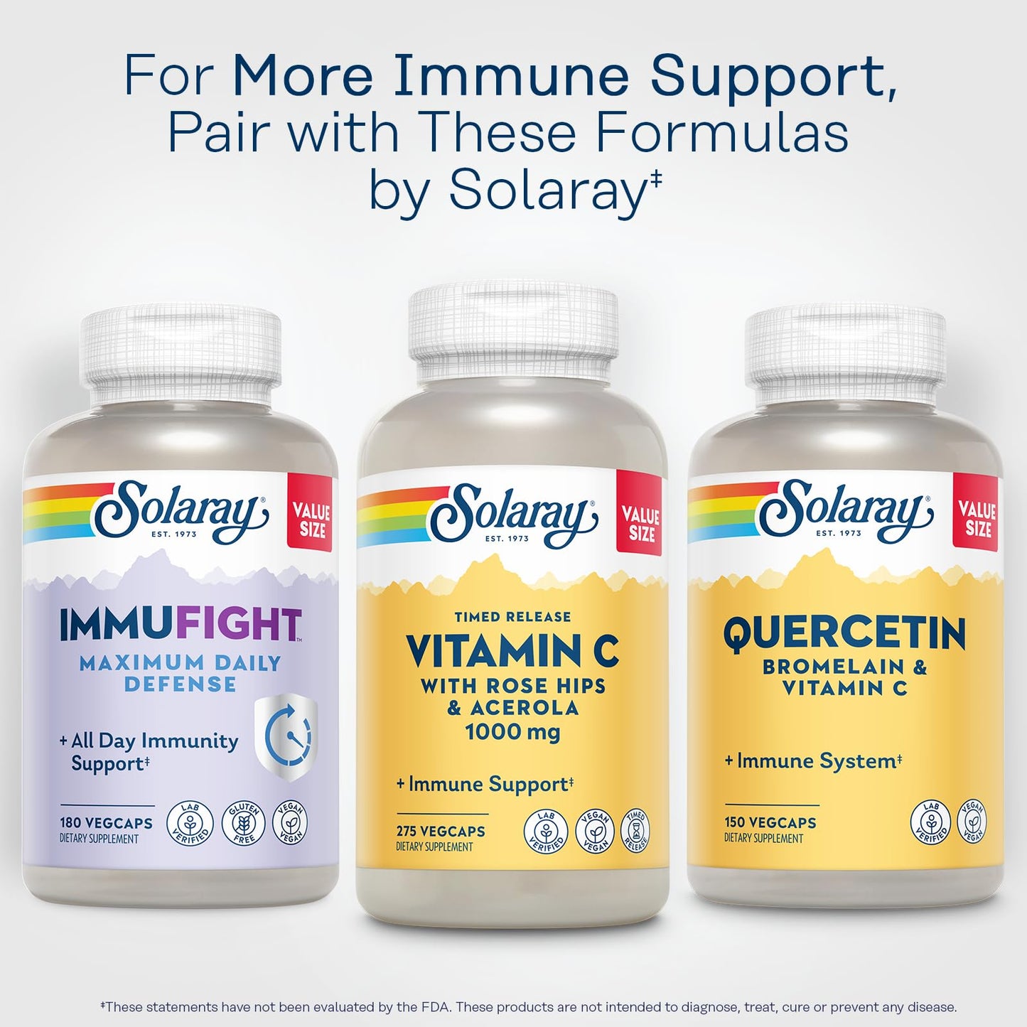 SOLARAY Vitamin C 1000mg Timed Release โ Immune Support (Rose Hips & Acerola)