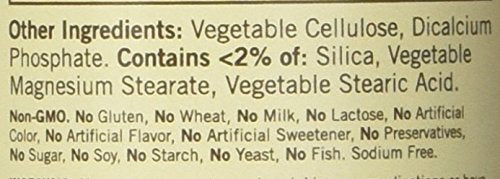 Sundown Zinc Gluconate 50 mg Caplets โ 100 ct | Gluten-Free, Vegetarian