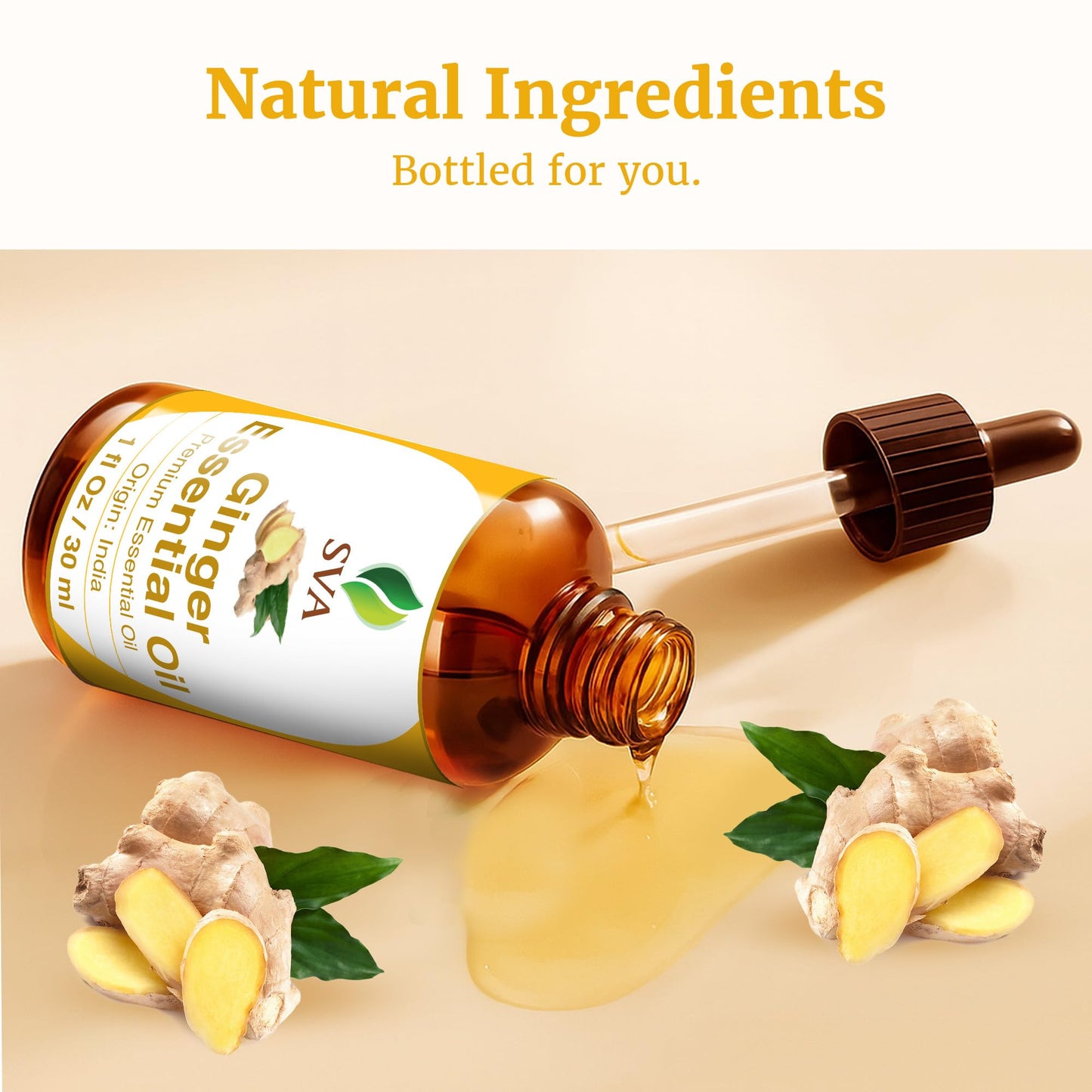 SVA Ginger Essential Oil โ 1 Fl Oz | 100% Natural, Steam-Distilled Ginger Oil