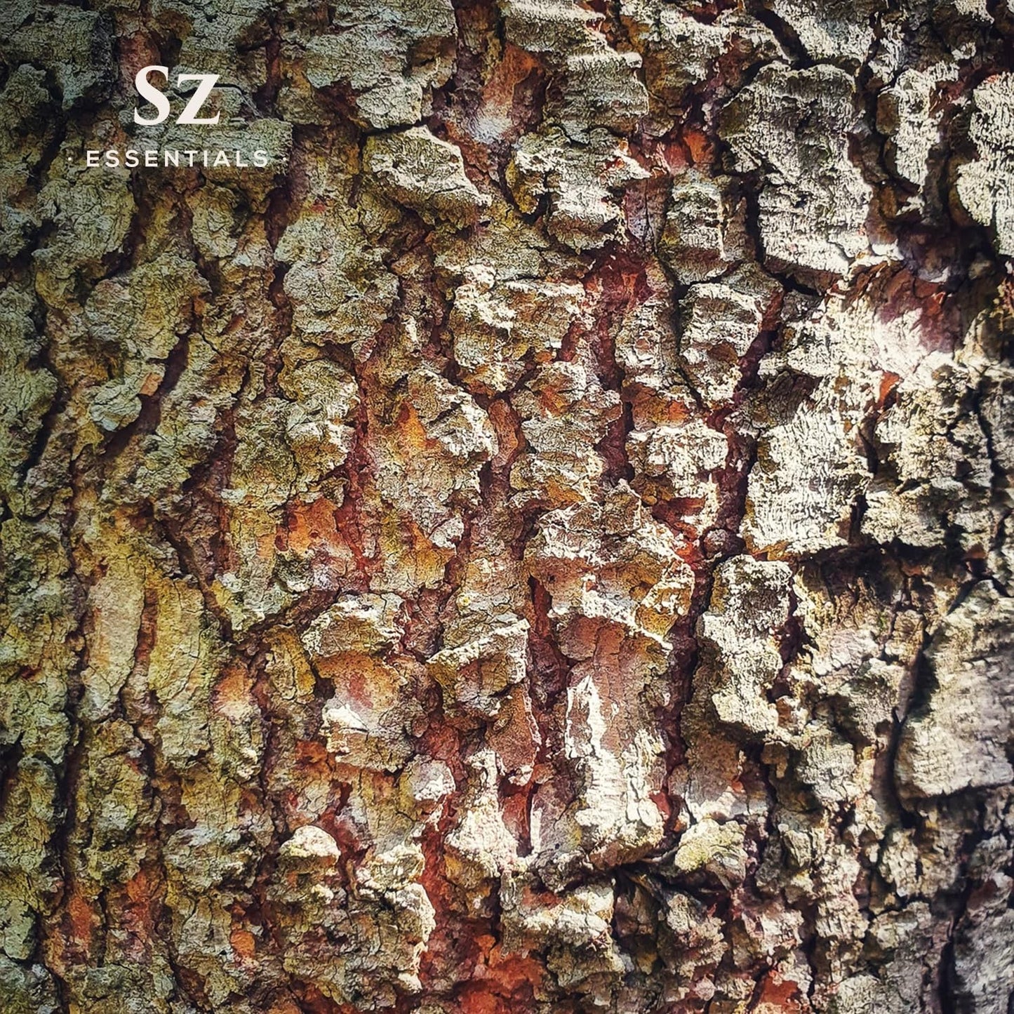 Sz Essentials - Cedarwood Essential Oil (Cedrus atlantica) โ Therapeutic Grade, 100% Pure & Natural, 5ml (0.17 fl oz)