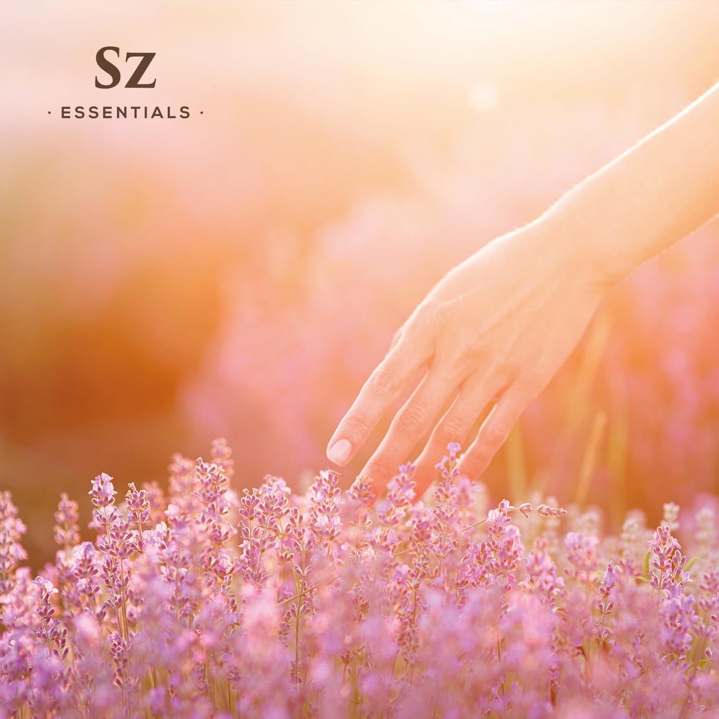 Grasse Lavender Essential Oil โ Lavandula stoechas, 0.22 oz | Sz Essentials