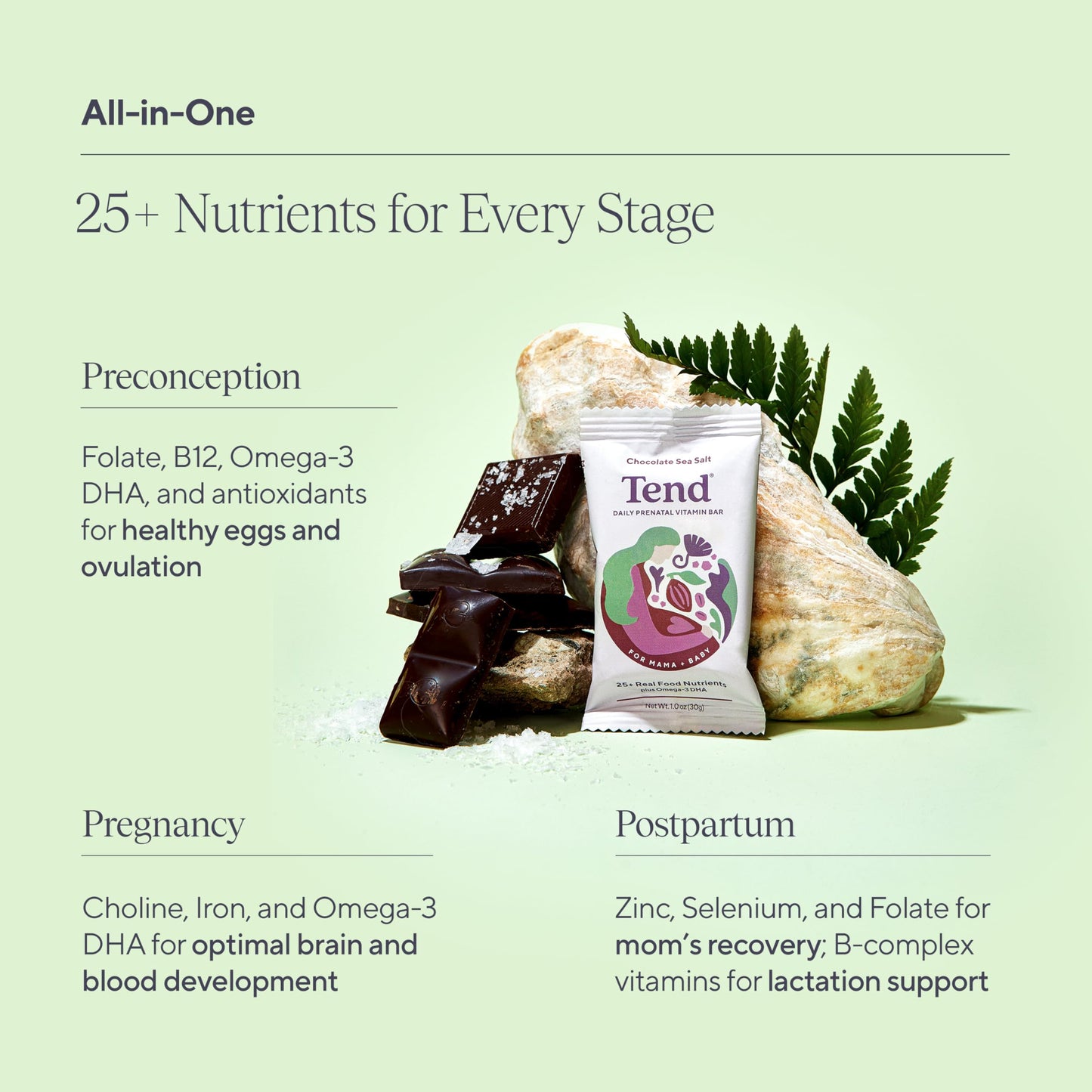 Tend Daily Prenatal Vitamin Bar – Organic DHA & Folate (Chocolate Sea Salt, 7ct)