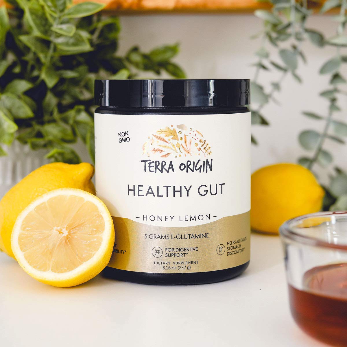 Terra Origin Healthy Gut Powder (Honey Lemon) โ 30 Servings | L-Glutamine, Zinc, Slippery Elm & More