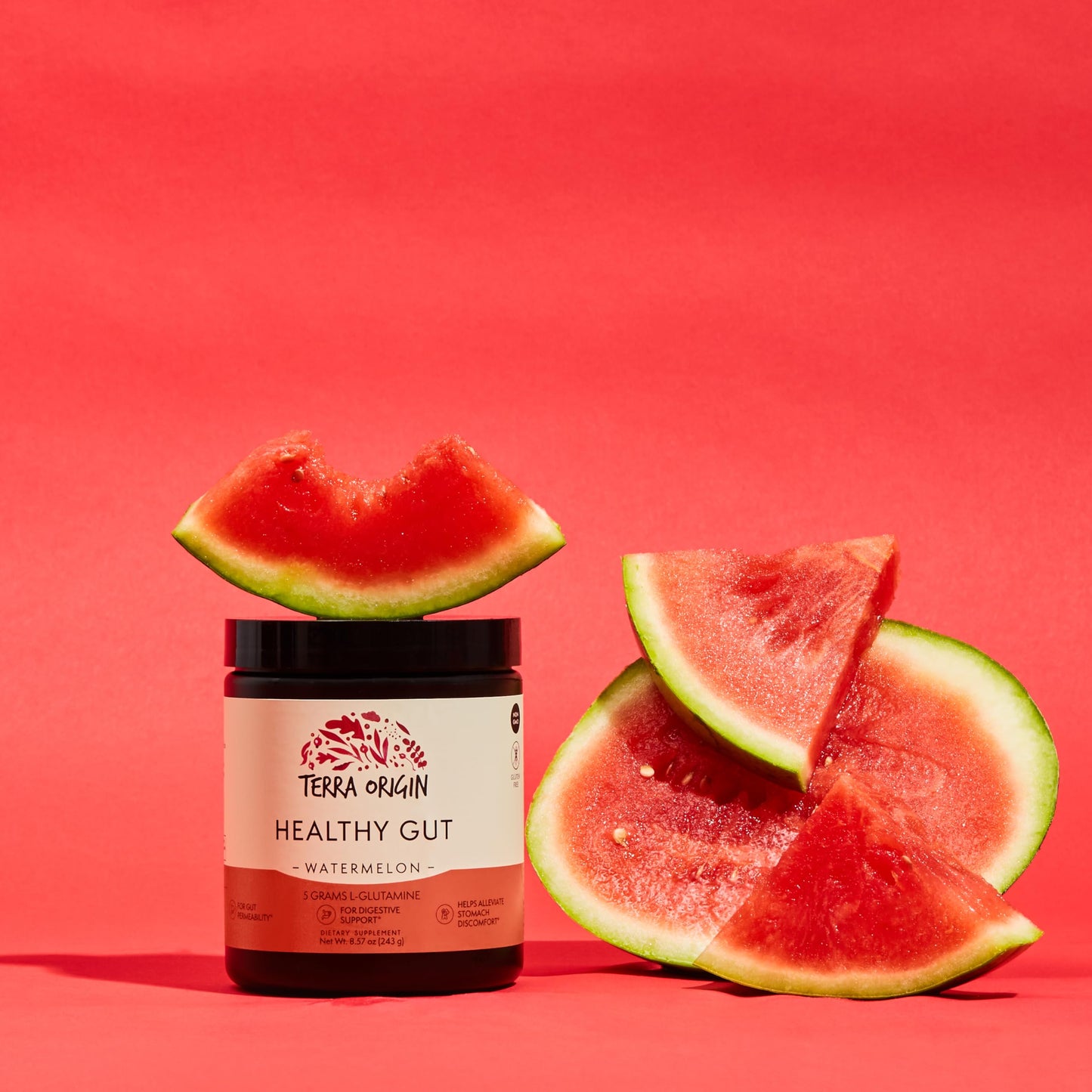 Terra Origin Healthy Gut Watermelon β 30 Servings with L-Glutamine & Zinc