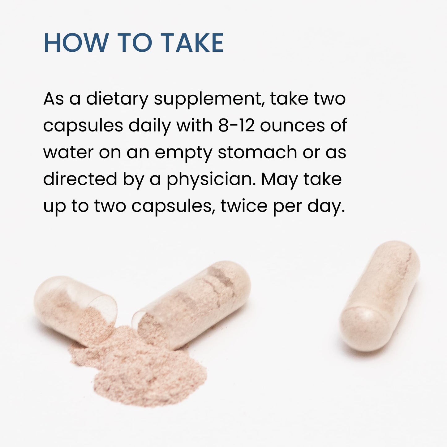 The Wellness Company Spike Support | Nattokinase, Dandelion Root & Black Sativa β 60ct